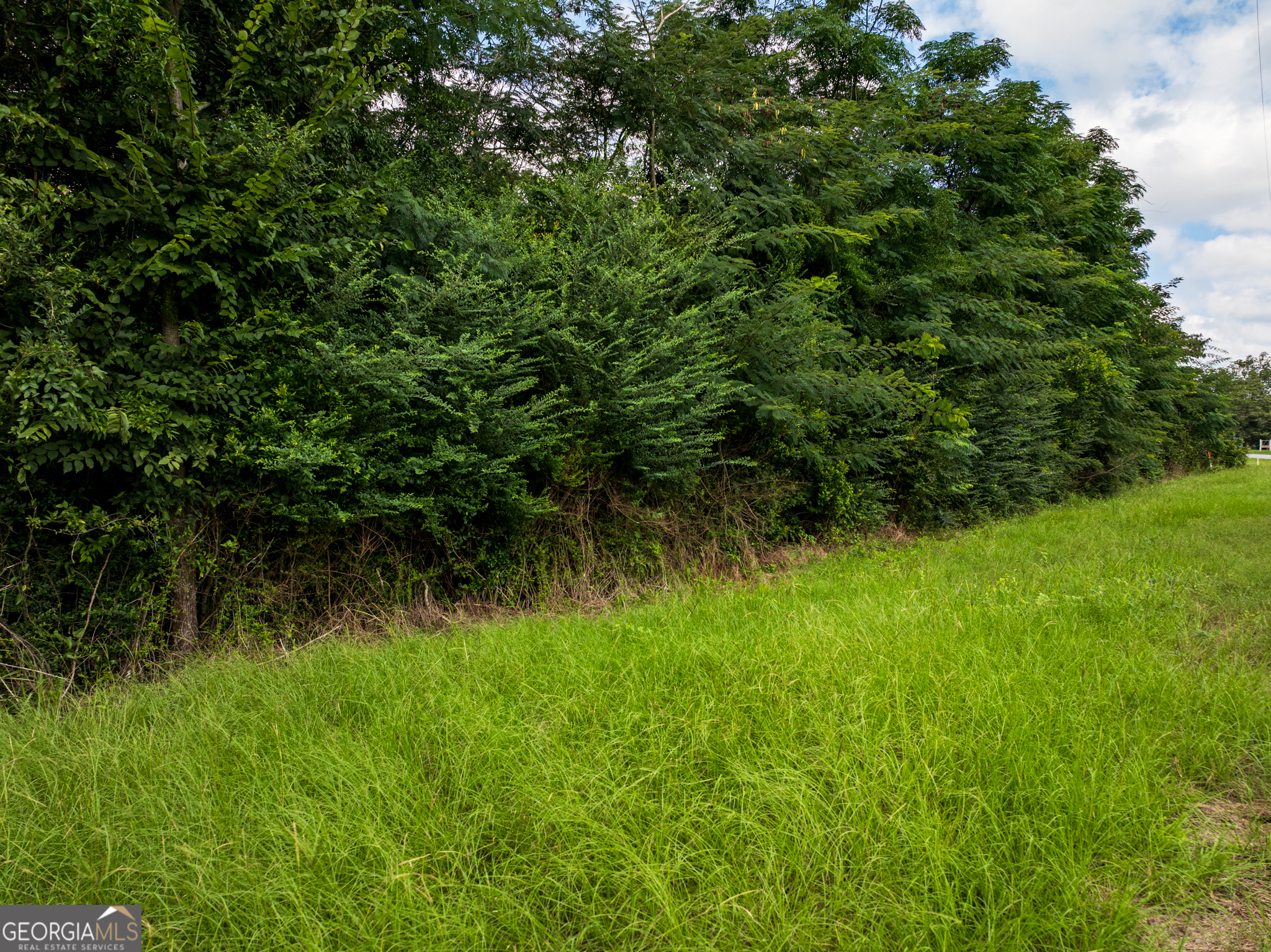 2.8 +/- Acres Pineway Highway Pineview GA 31071