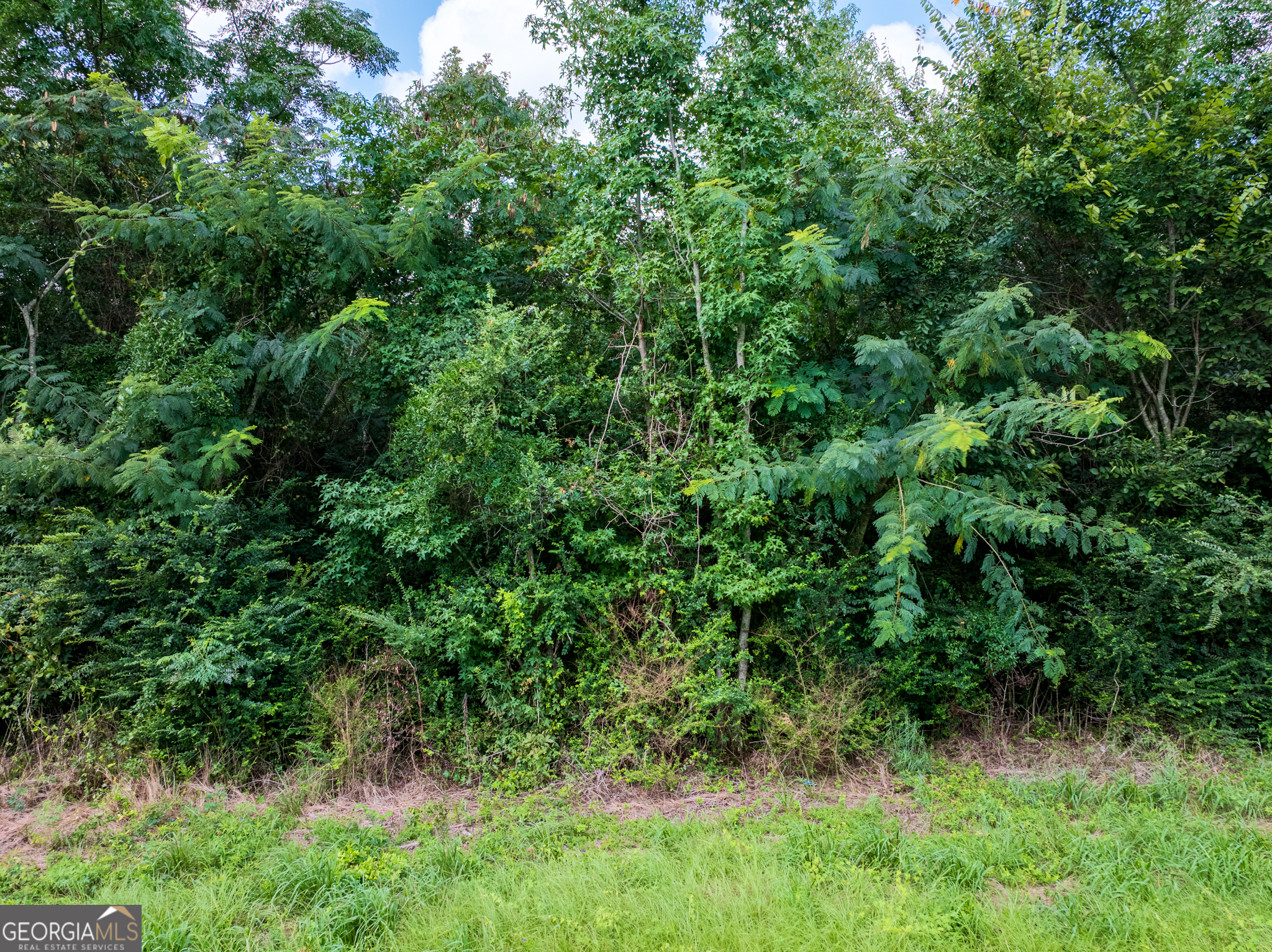 2.8 +/- Acres Pineway Highway Pineview GA 31071