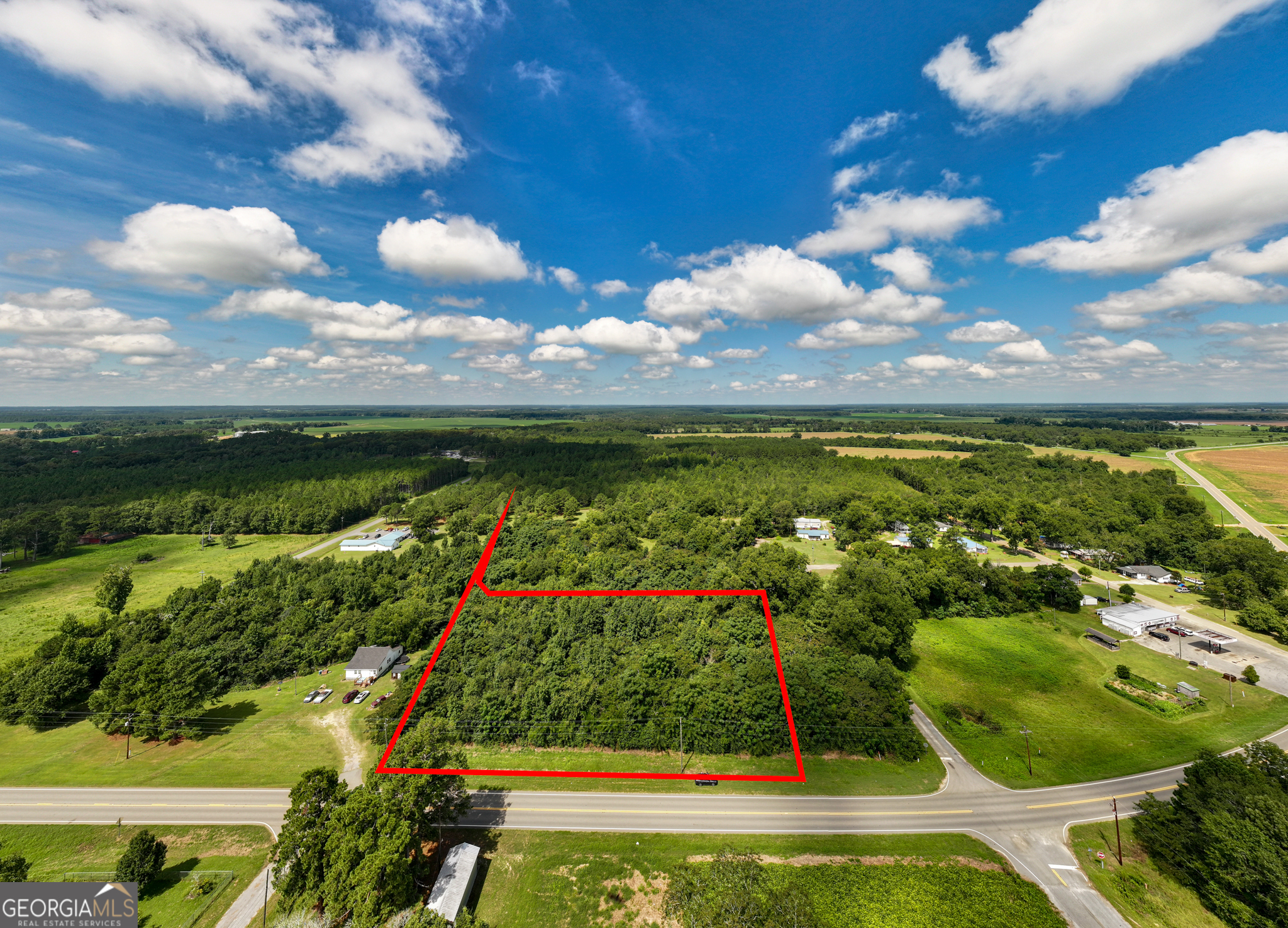 2.8 +/- Acres Pineway Highway Pineview GA 31071