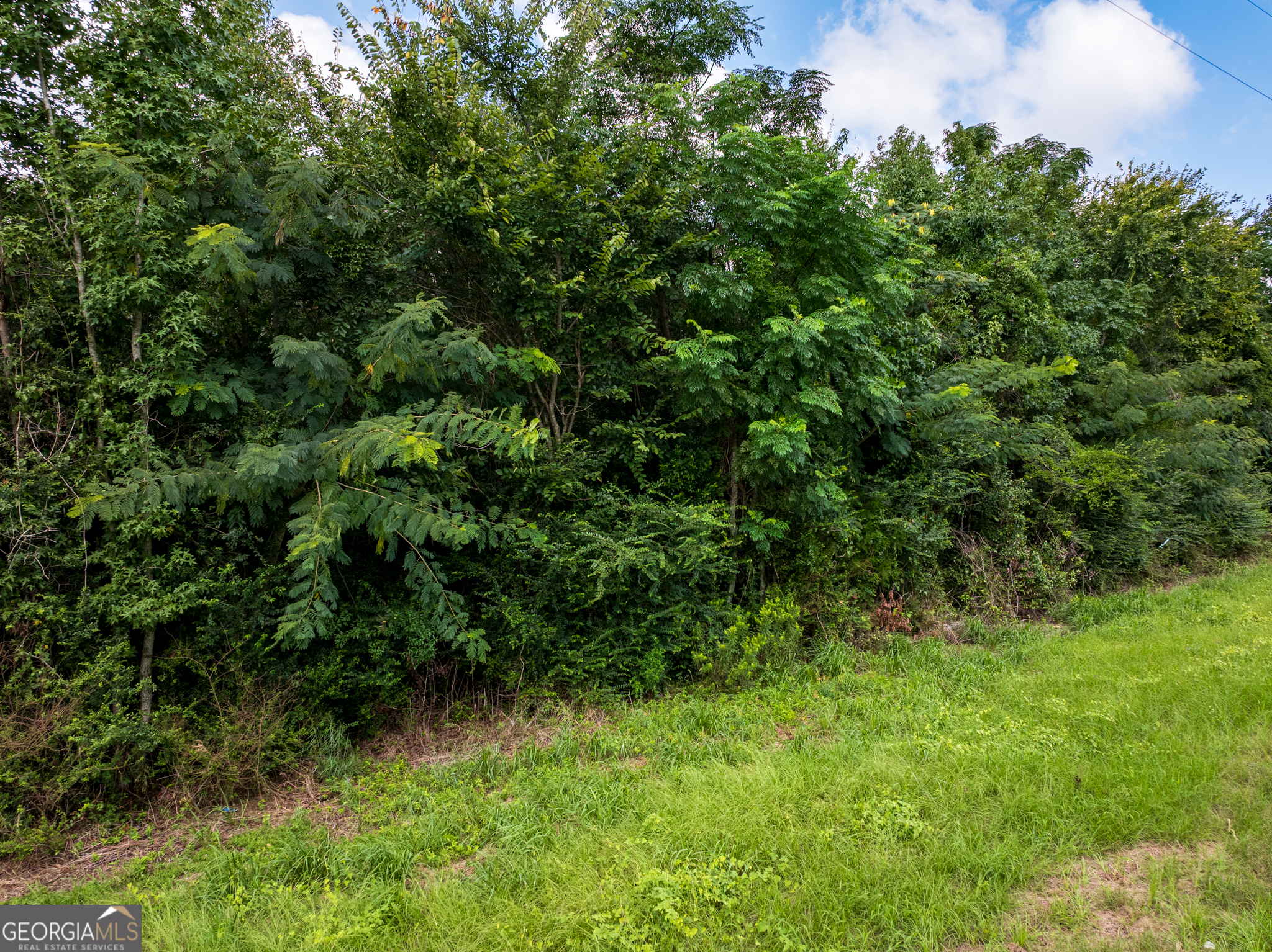 2.8 +/- Acres Pineway Highway Pineview GA 31071