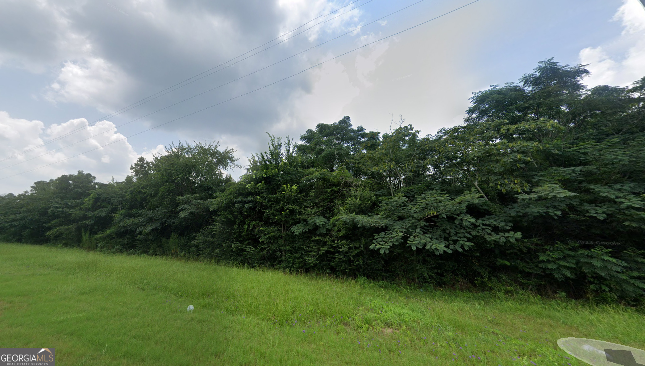 2.8 +/- Acres Pineway Highway Pineview GA 31071