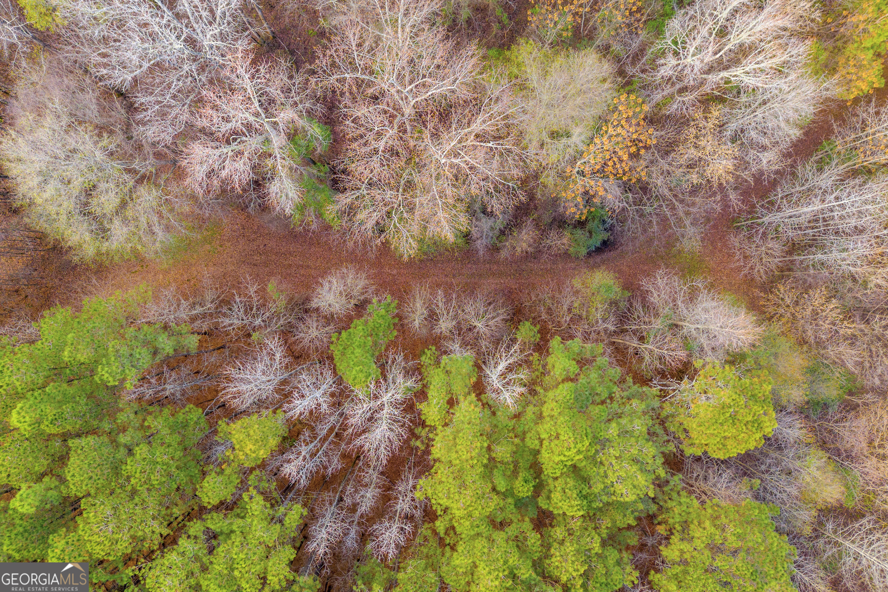 375 Highway 78 Monroe GA 30655