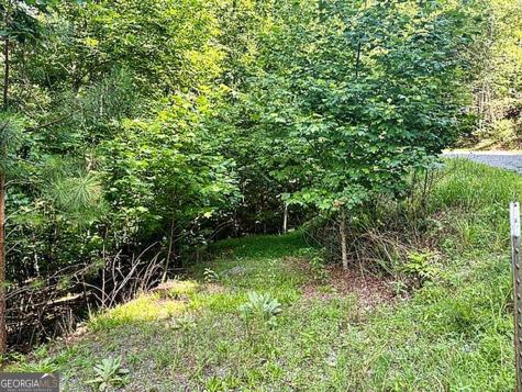 Lot 26 Toccoa Preserve Blue Ridge GA 30513
