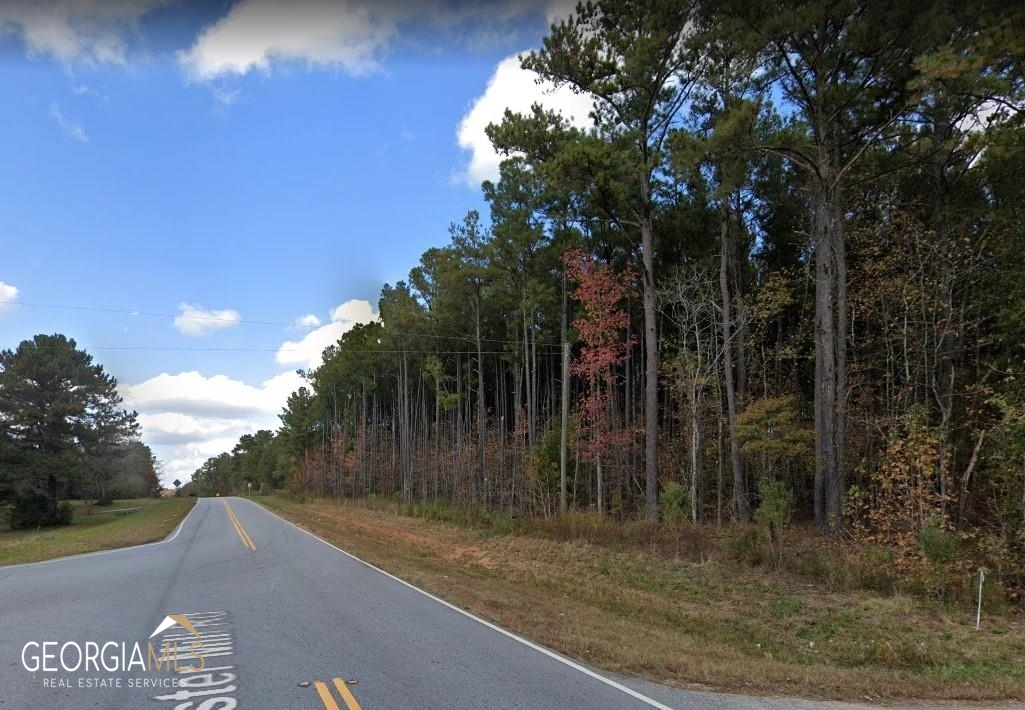0 S Lester Mill Road SW Locust Grove GA 30248