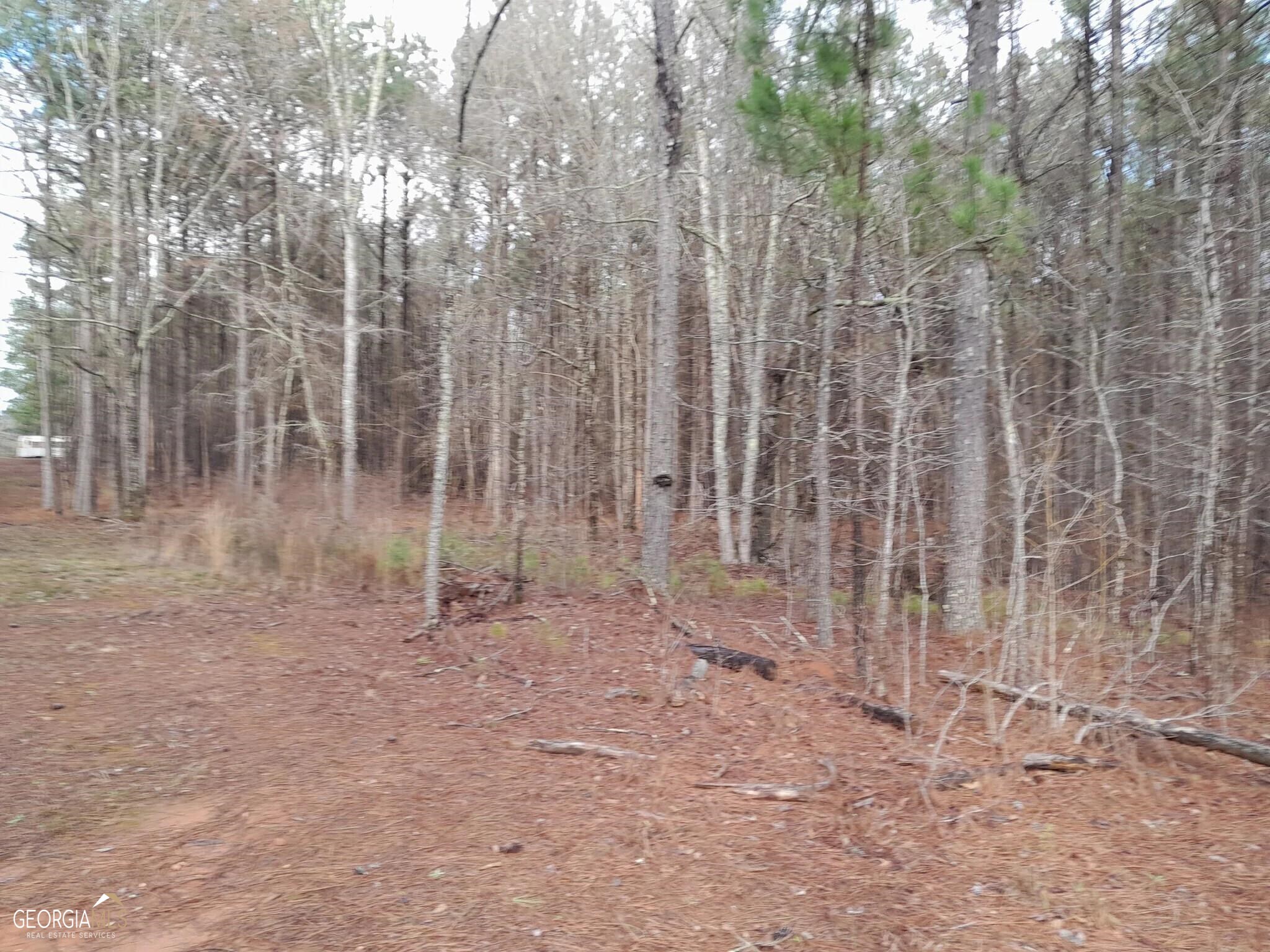0 S Lester Mill Road SW Locust Grove GA 30248