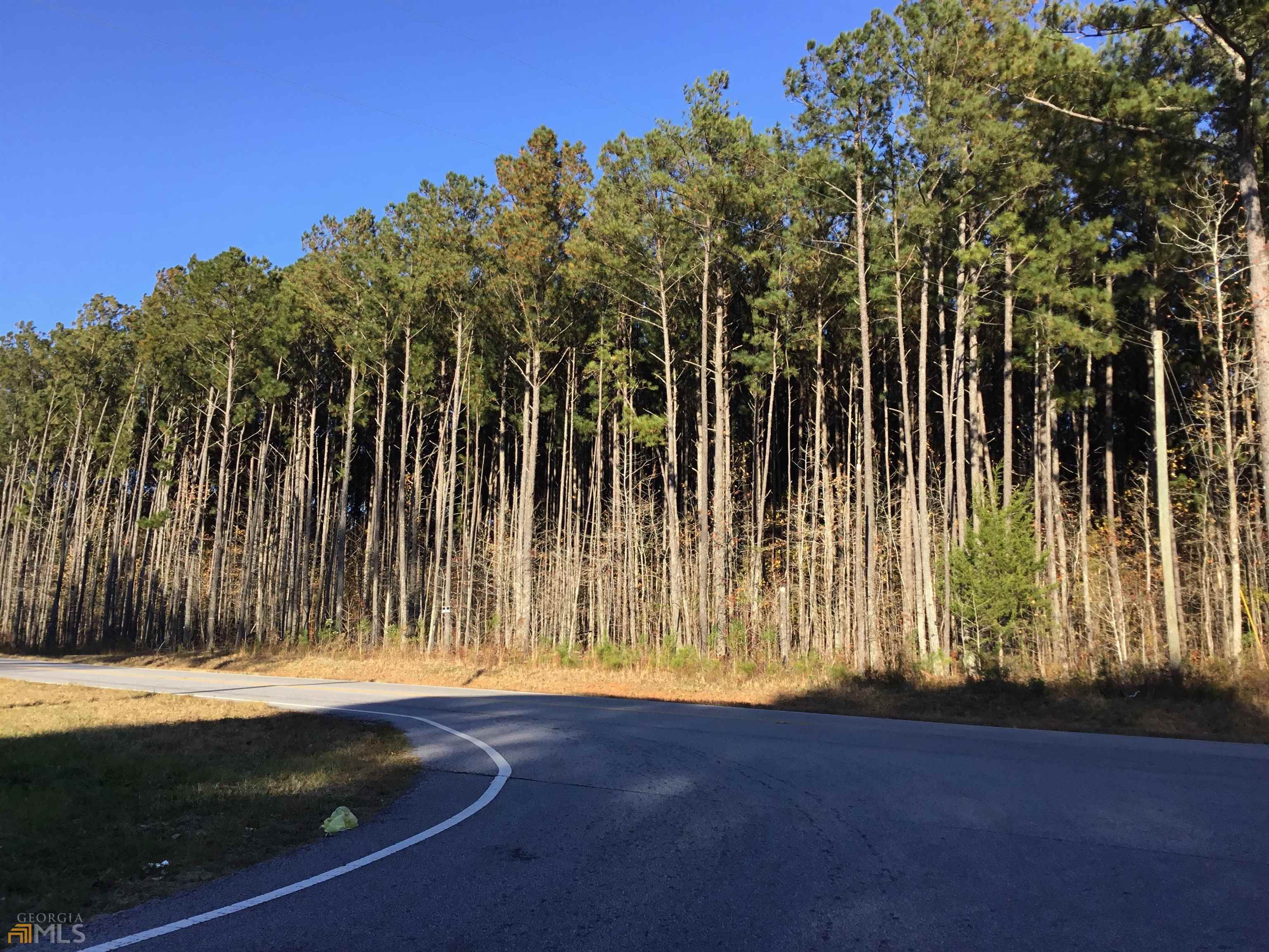 0 S Lester Mill Road SW Locust Grove GA 30248