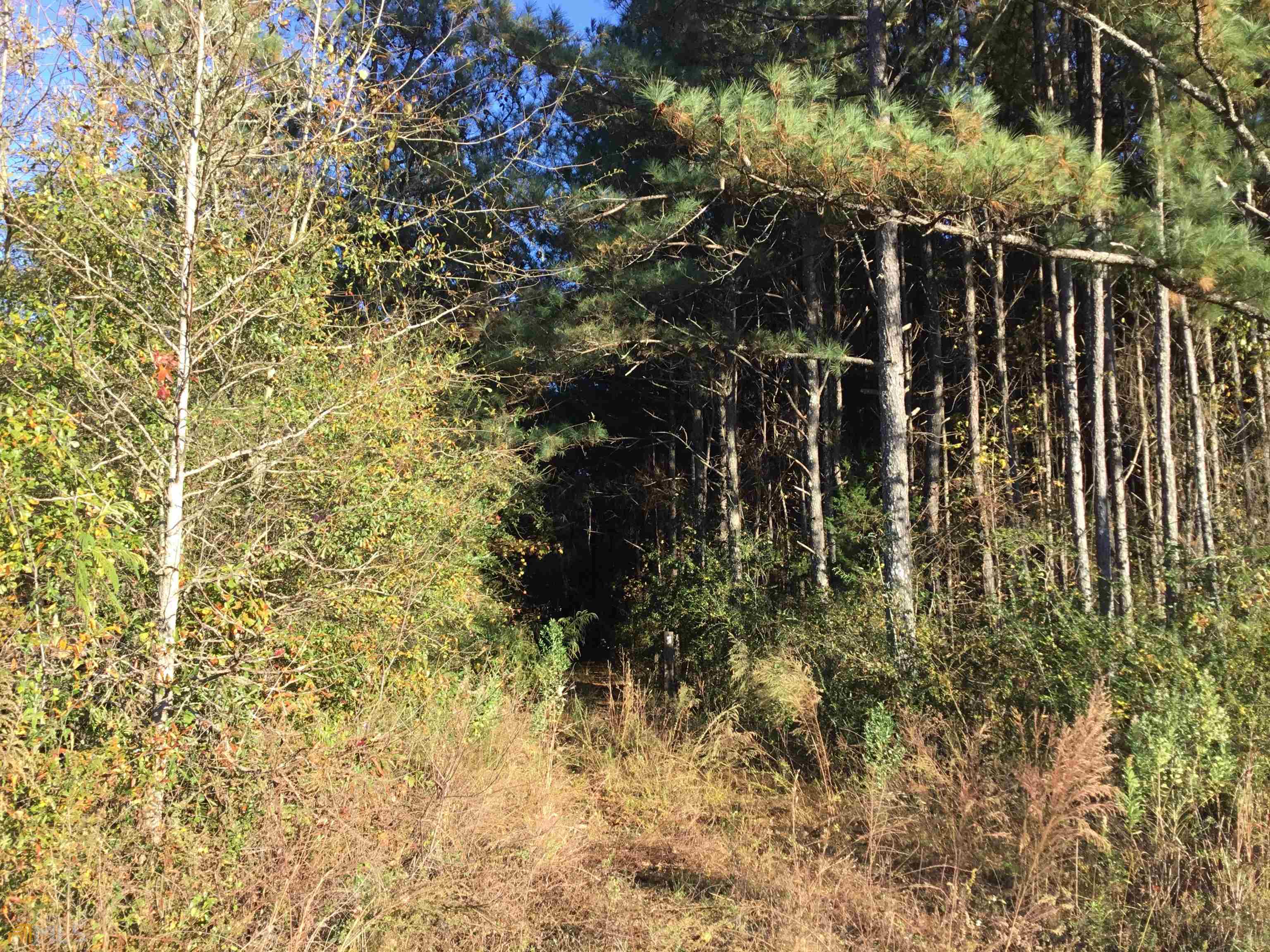 0 S Lester Mill Road SW Locust Grove GA 30248