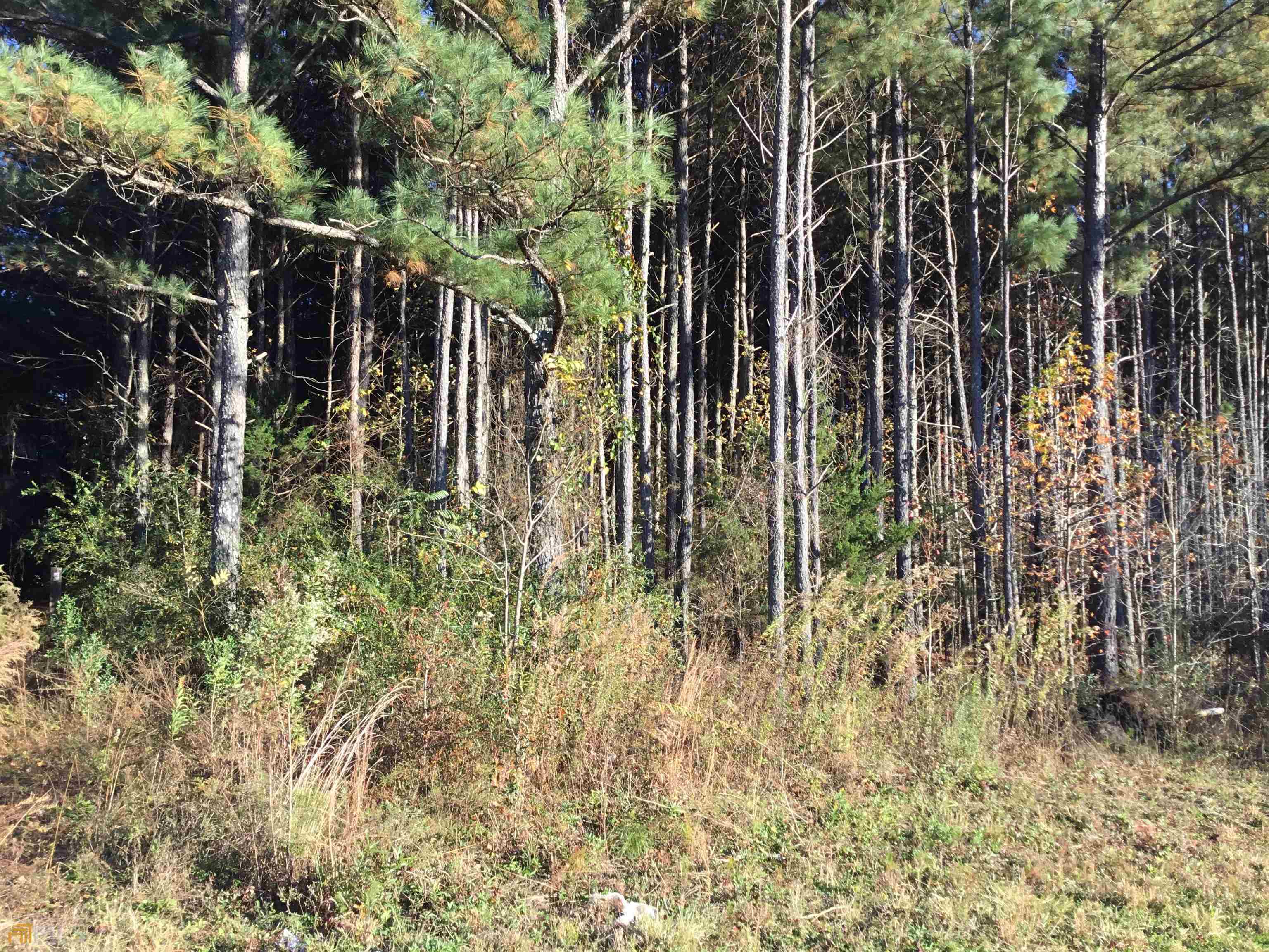0 S Lester Mill Road SW Locust Grove GA 30248