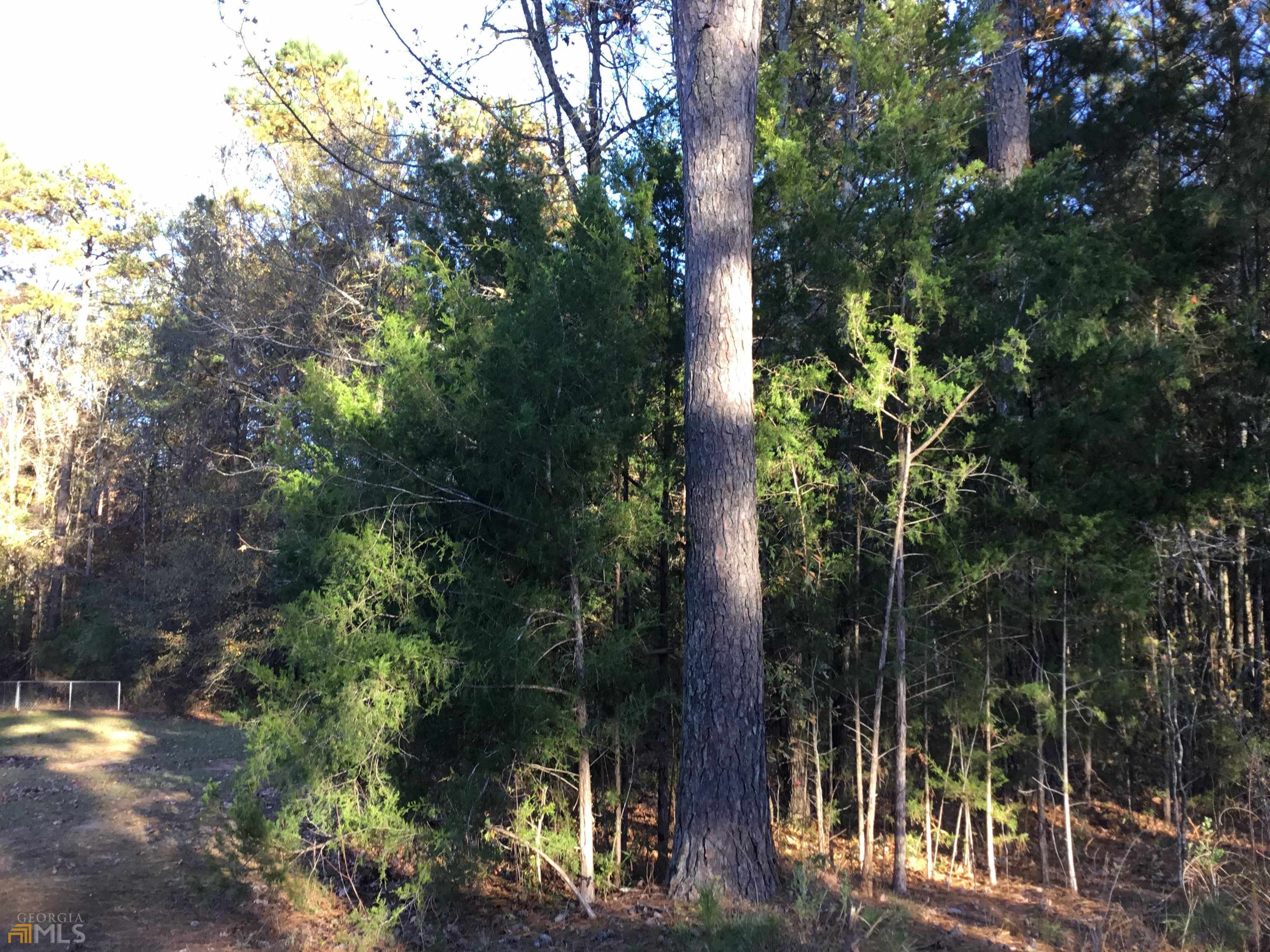 0 S Lester Mill Road SW Locust Grove GA 30248