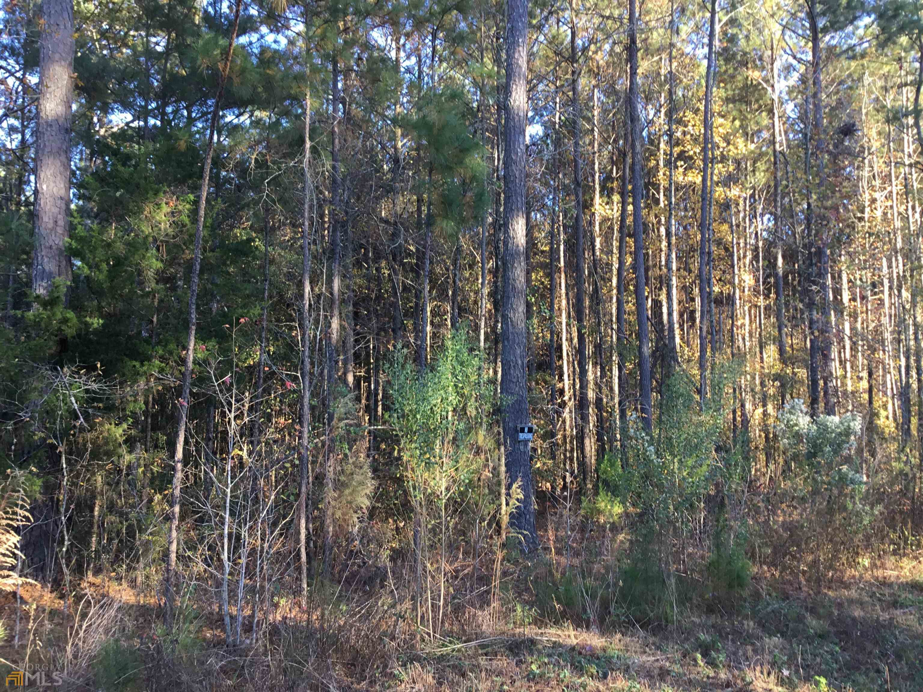 0 S Lester Mill Road SW Locust Grove GA 30248