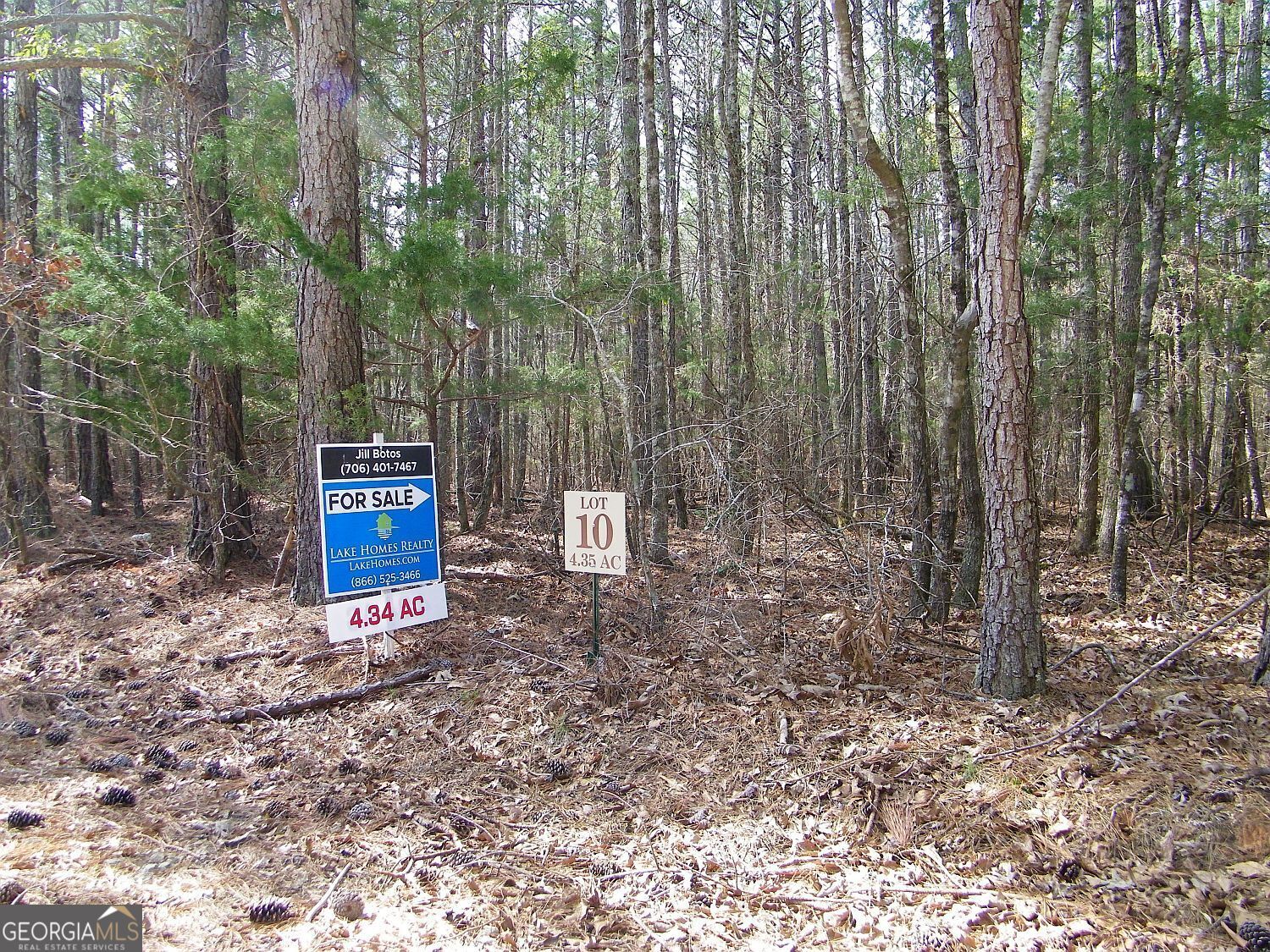 Lot 10 Blackberry Bend Elberton GA 30635