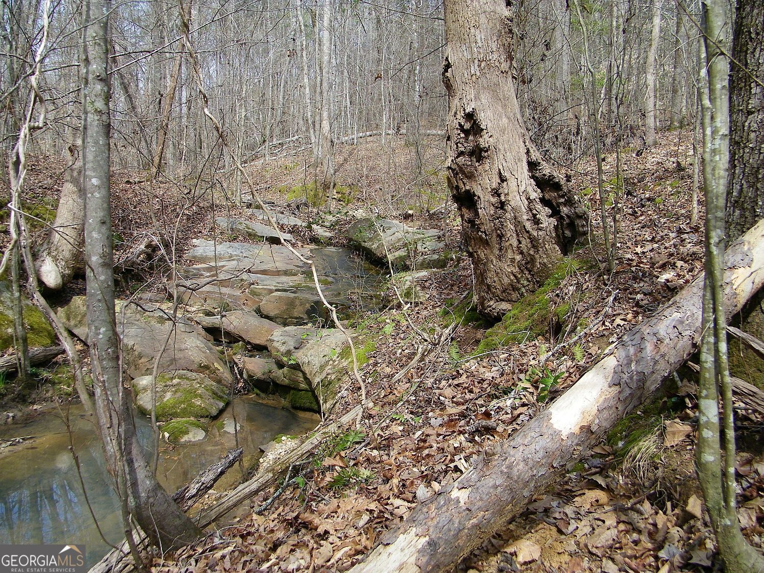 Lot 10 Blackberry Bend Elberton GA 30635