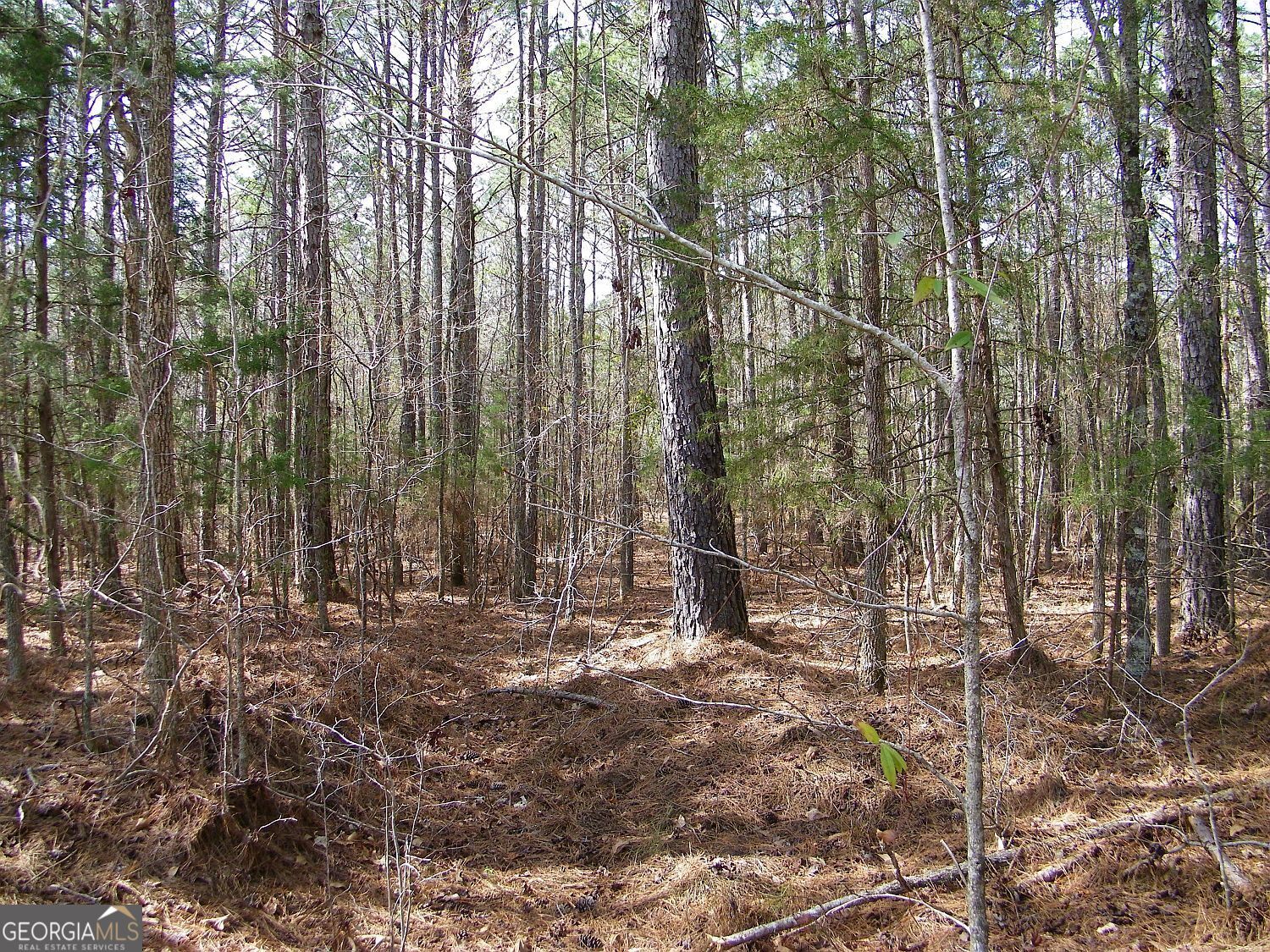 Lot 10 Blackberry Bend Elberton GA 30635
