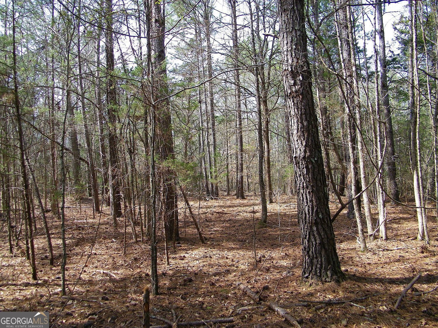 Lot 10 Blackberry Bend Elberton GA 30635