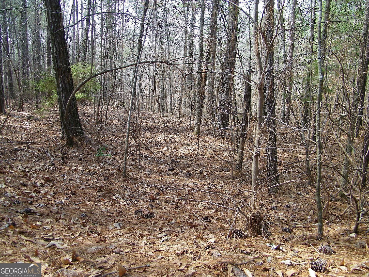 Lot 10 Blackberry Bend Elberton GA 30635