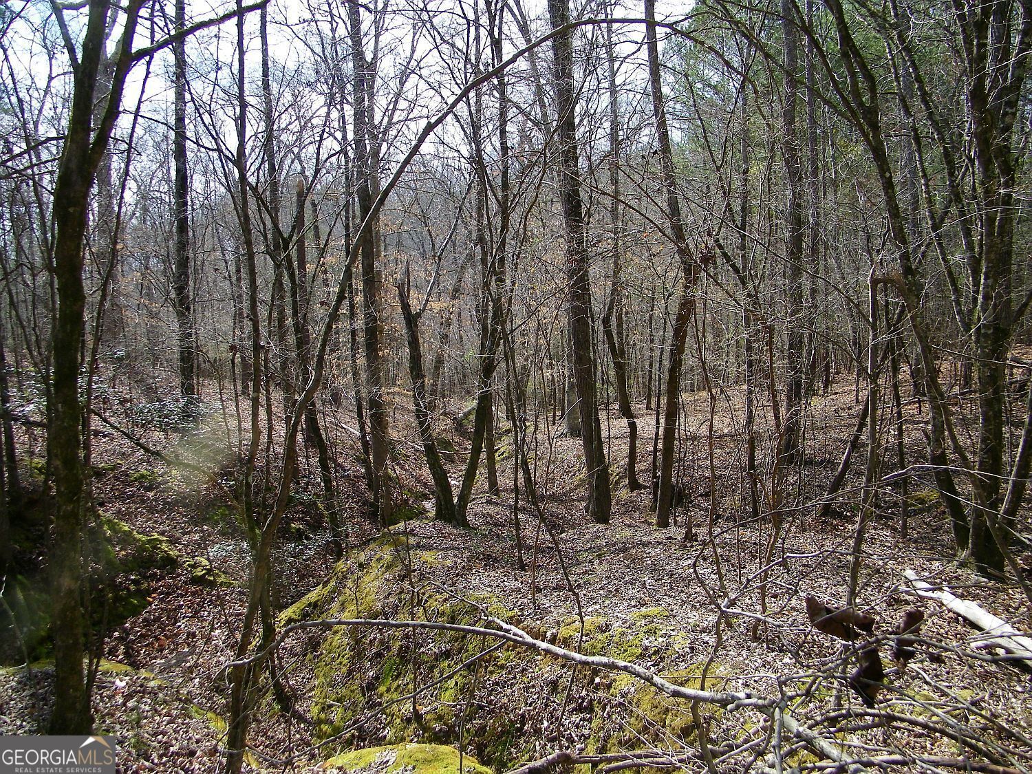 Lot 10 Blackberry Bend Elberton GA 30635