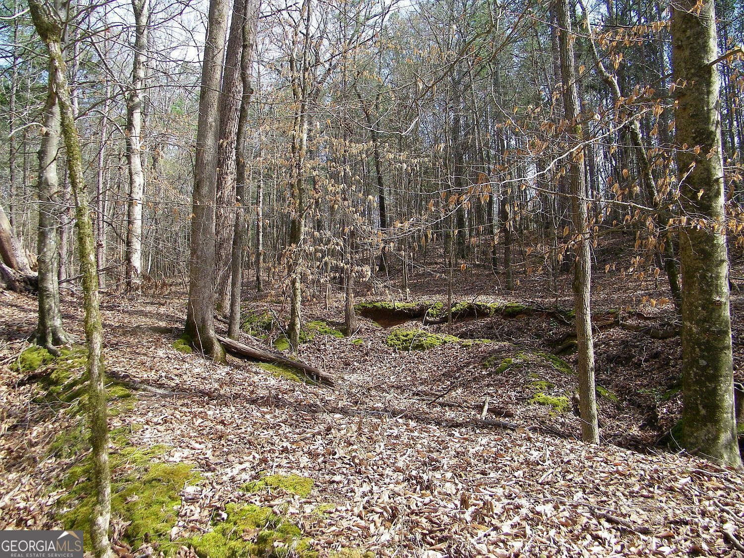 Lot 10 Blackberry Bend Elberton GA 30635