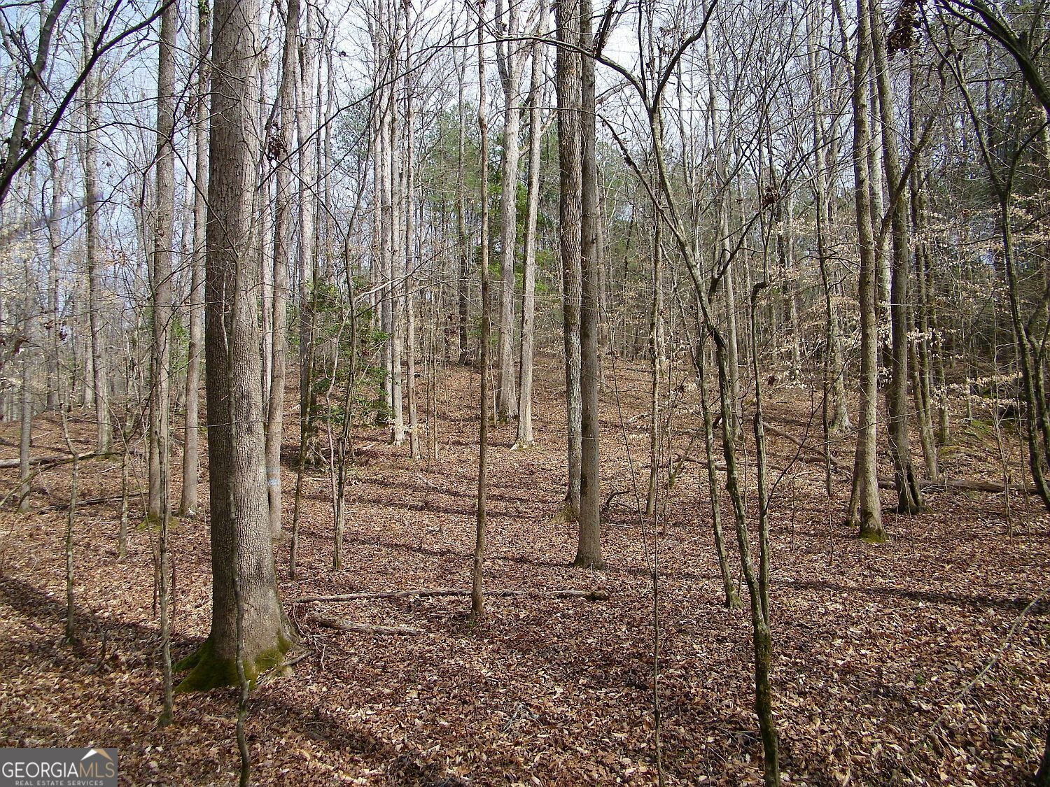 Lot 10 Blackberry Bend Elberton GA 30635