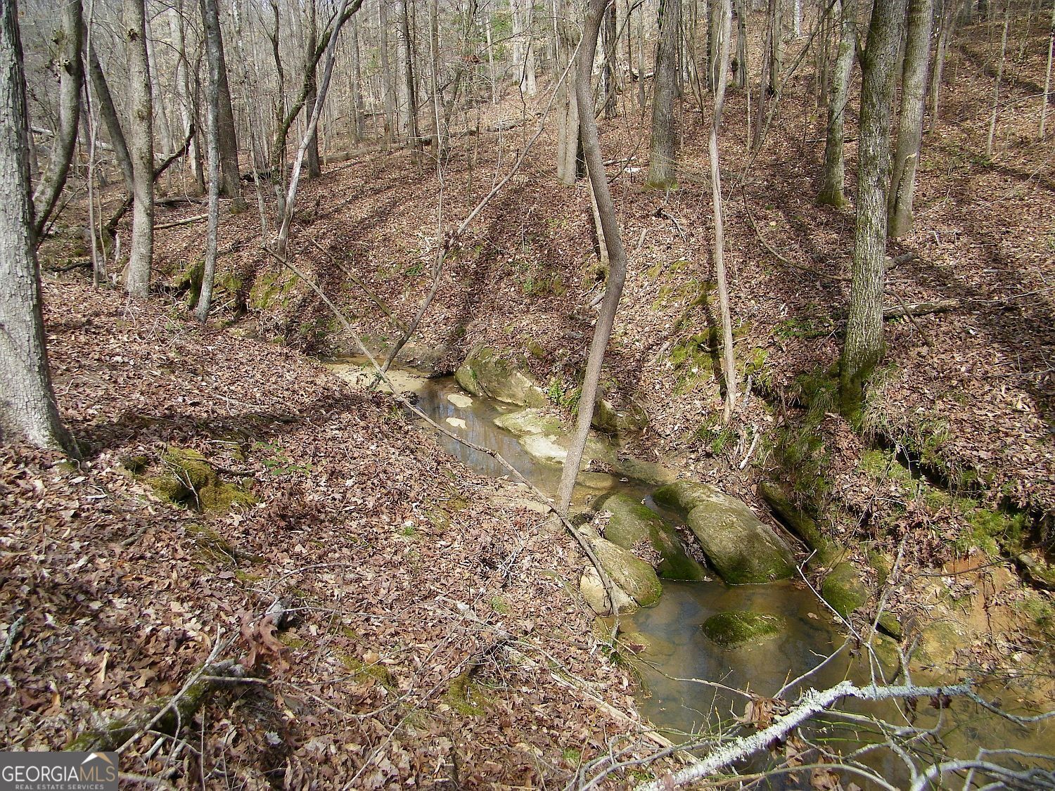 Lot 10 Blackberry Bend Elberton GA 30635