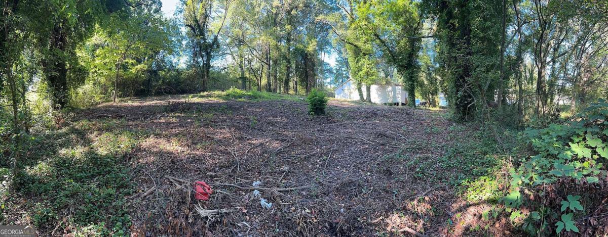 0 Webb Avenue NW Atlanta GA 30314