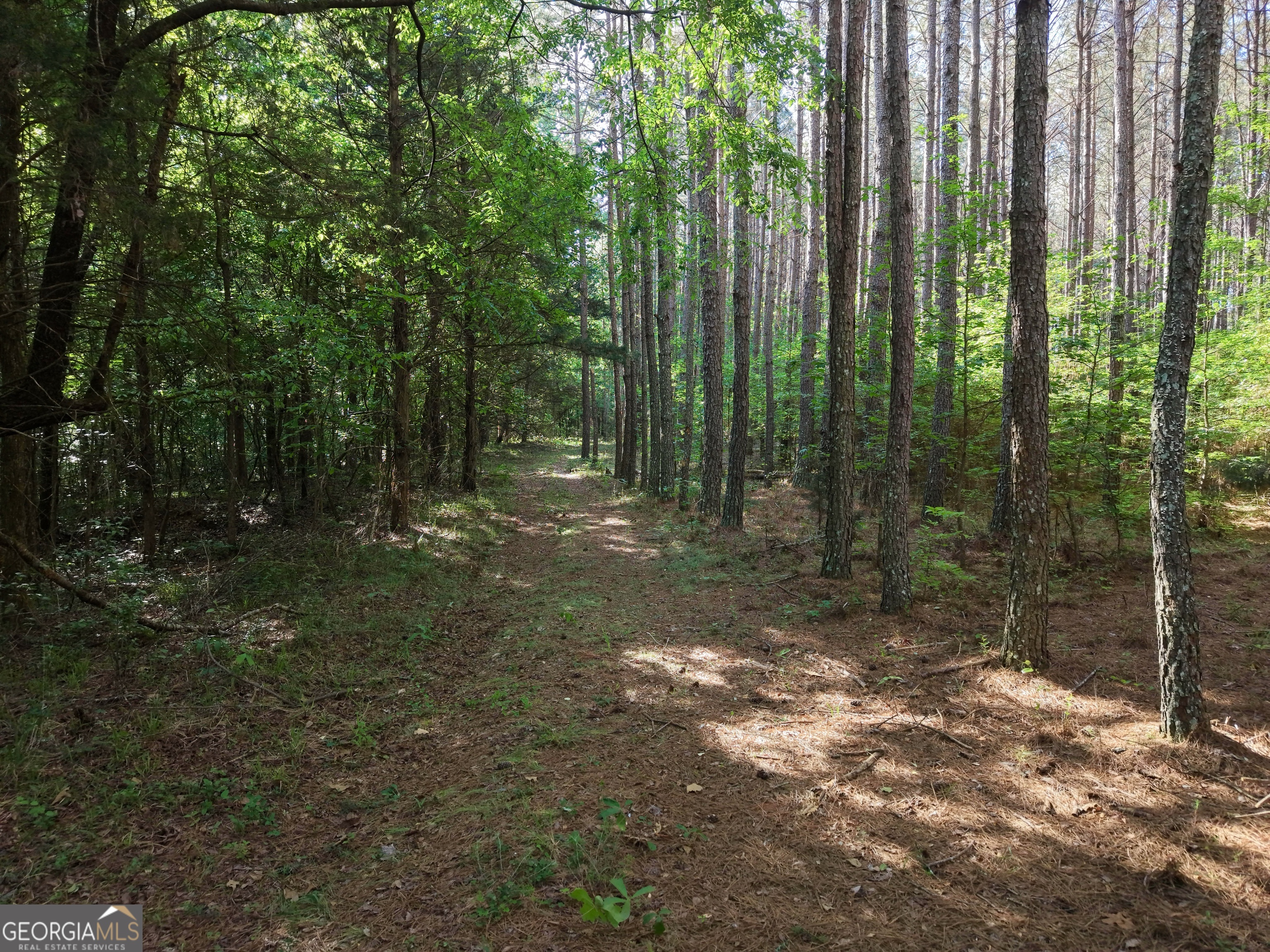 2486 Hulmes Chapel Road Elberton GA 30635
