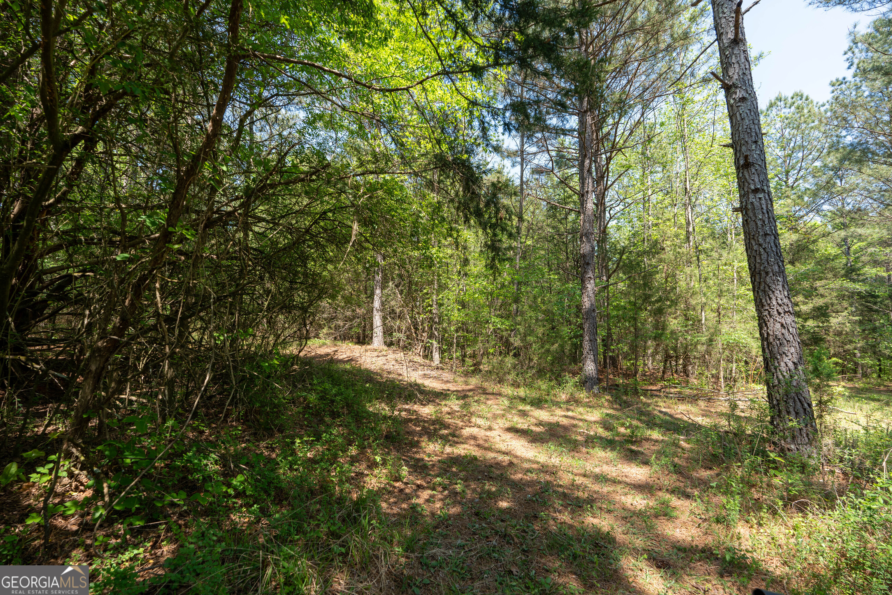2486 Hulmes Chapel Road Elberton GA 30635