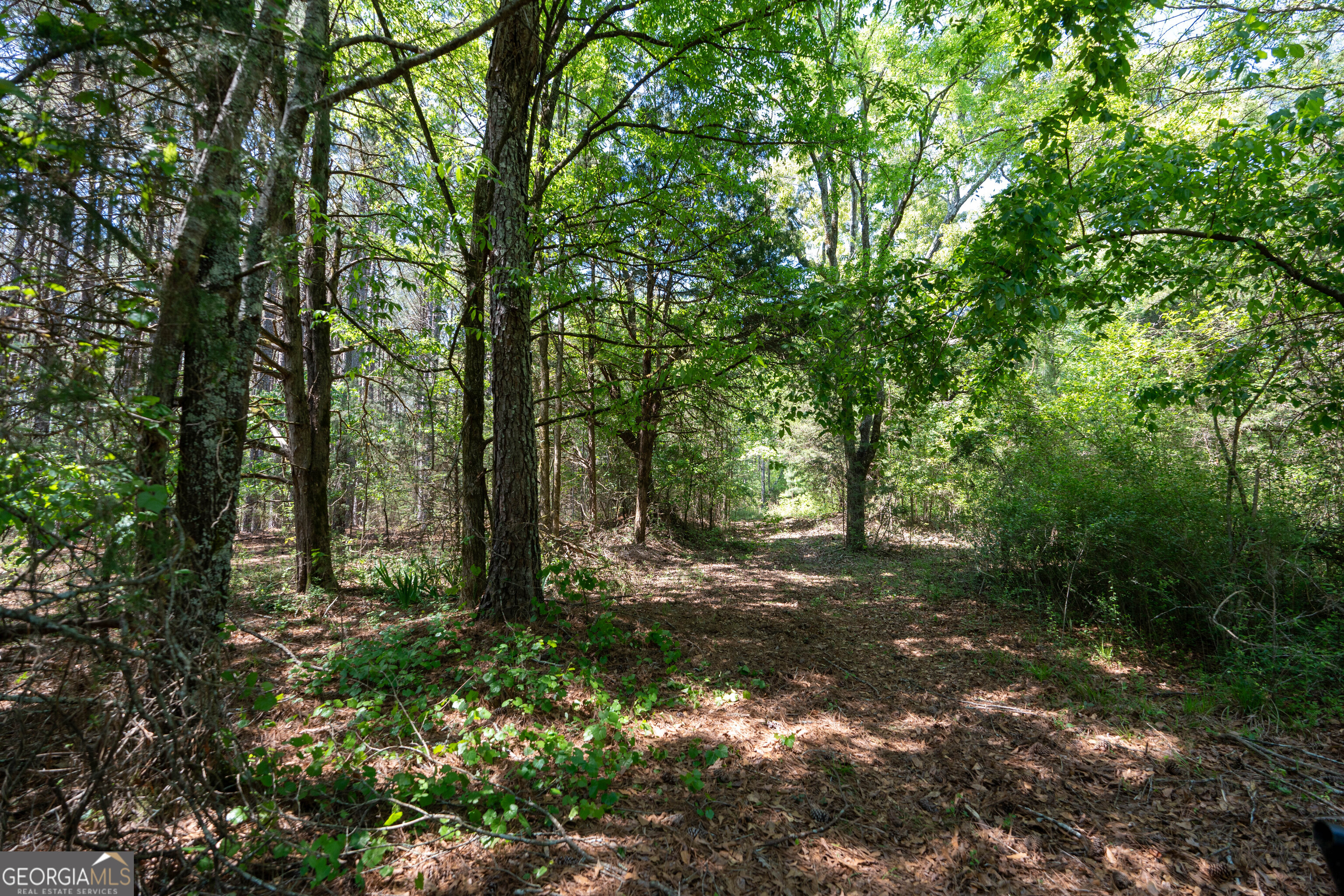 2486 Hulmes Chapel Road Elberton GA 30635