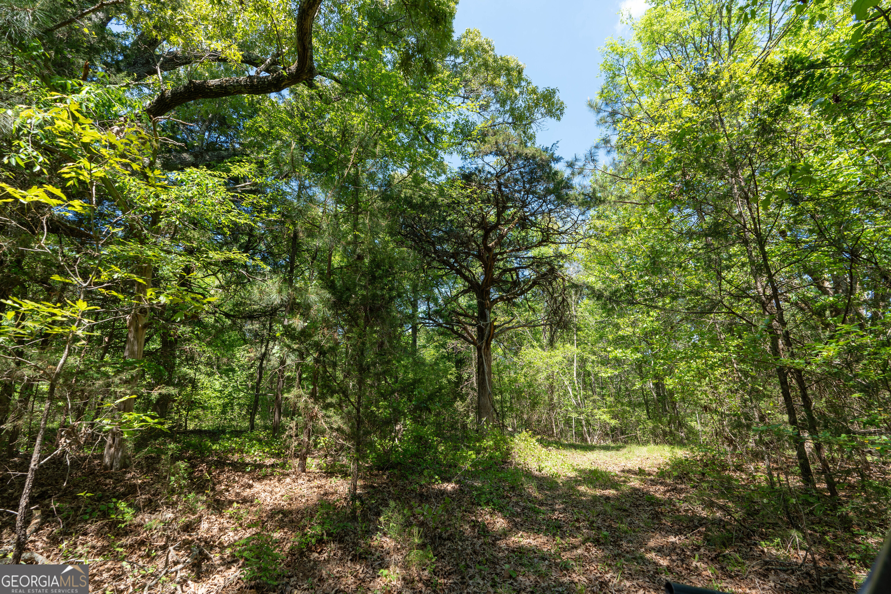 2486 Hulmes Chapel Road Elberton GA 30635
