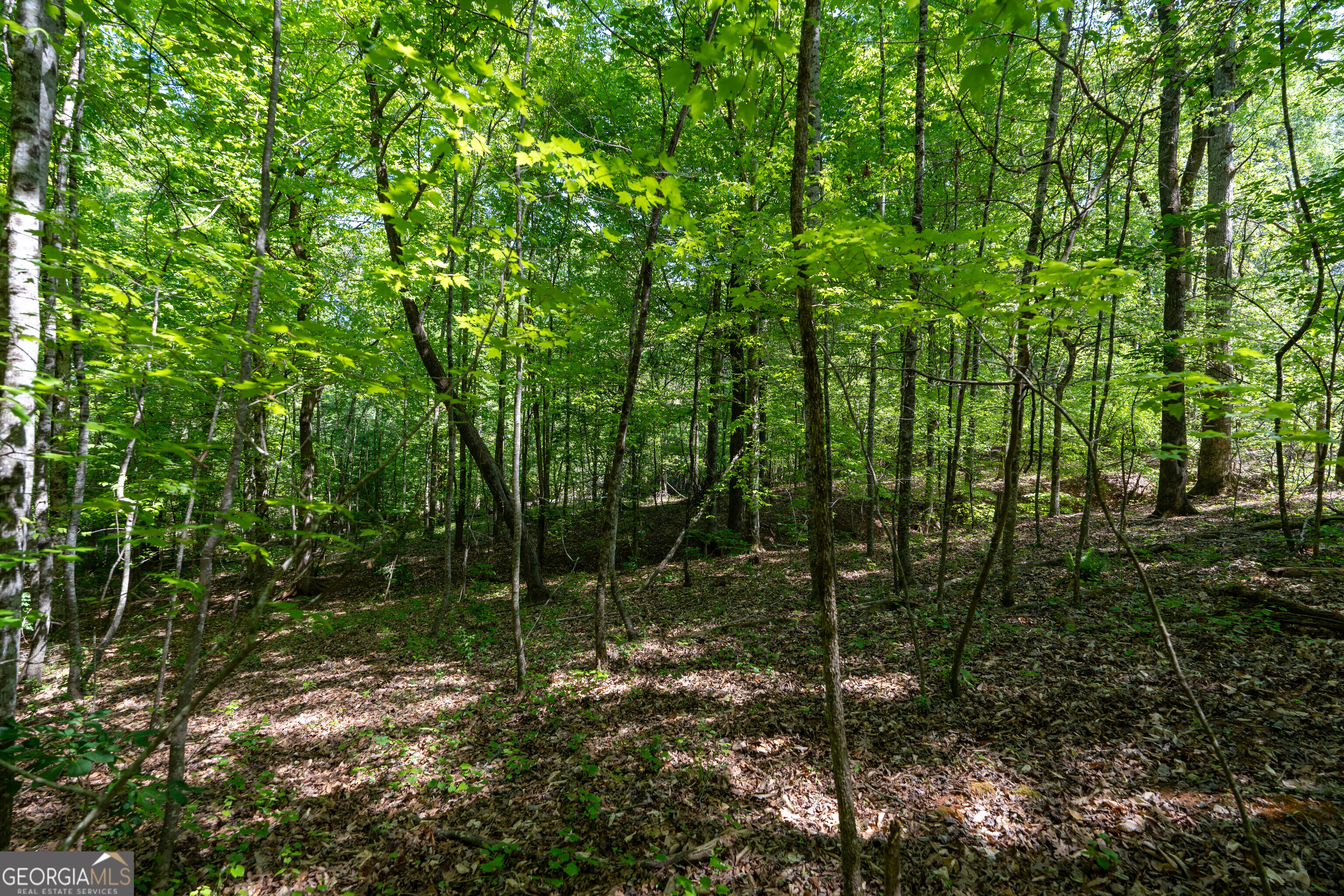 2486 Hulmes Chapel Road Elberton GA 30635