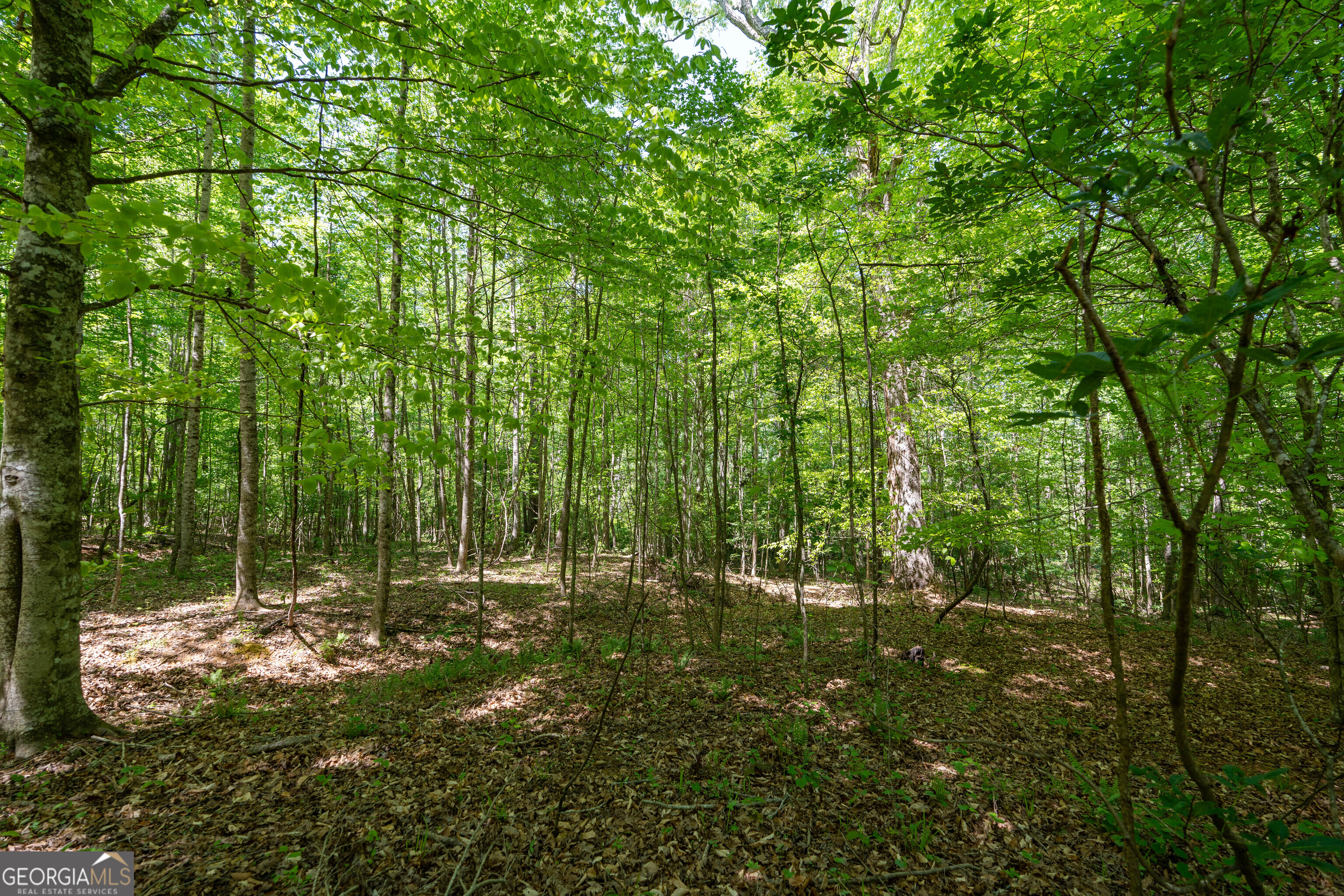 2486 Hulmes Chapel Road Elberton GA 30635