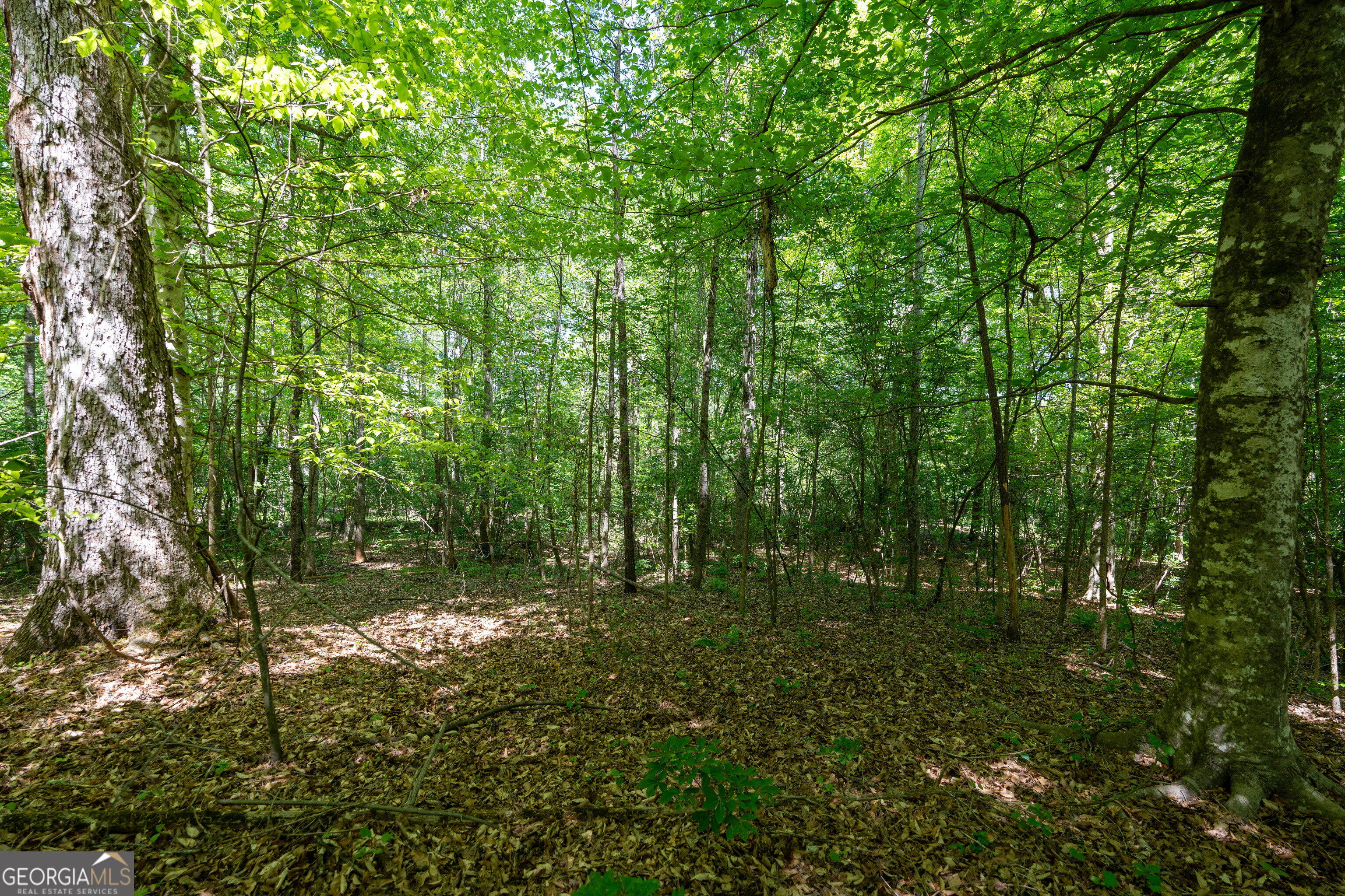2486 Hulmes Chapel Road Elberton GA 30635