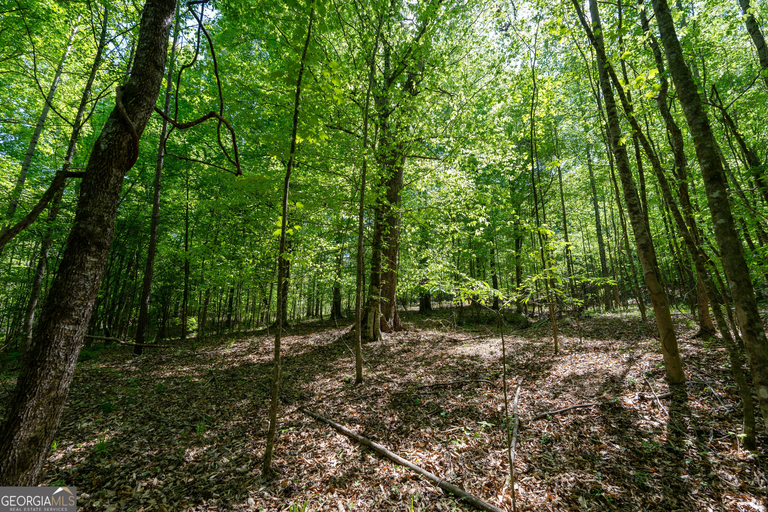 2486 Hulmes Chapel Road Elberton GA 30635