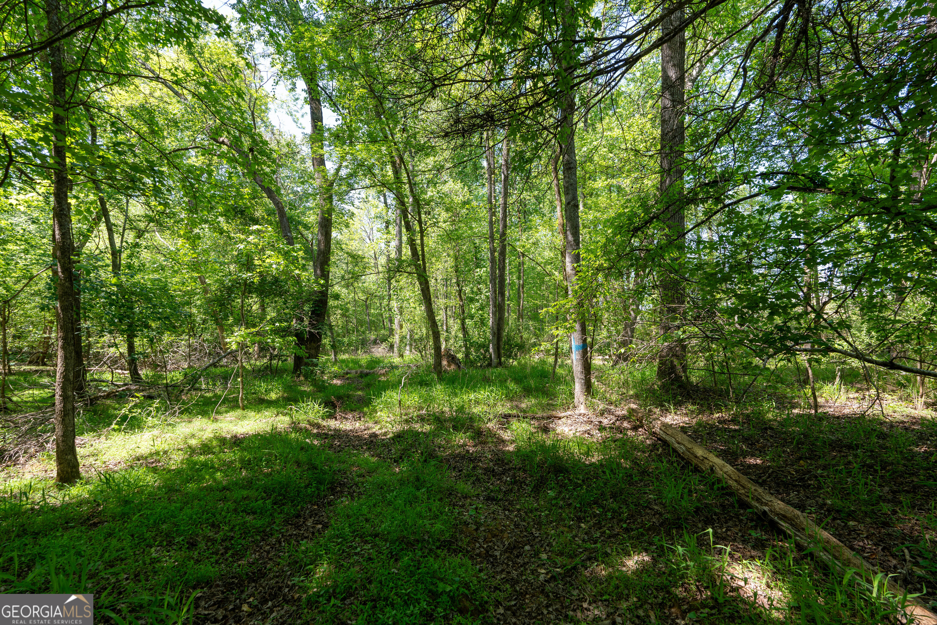 2486 Hulmes Chapel Road Elberton GA 30635