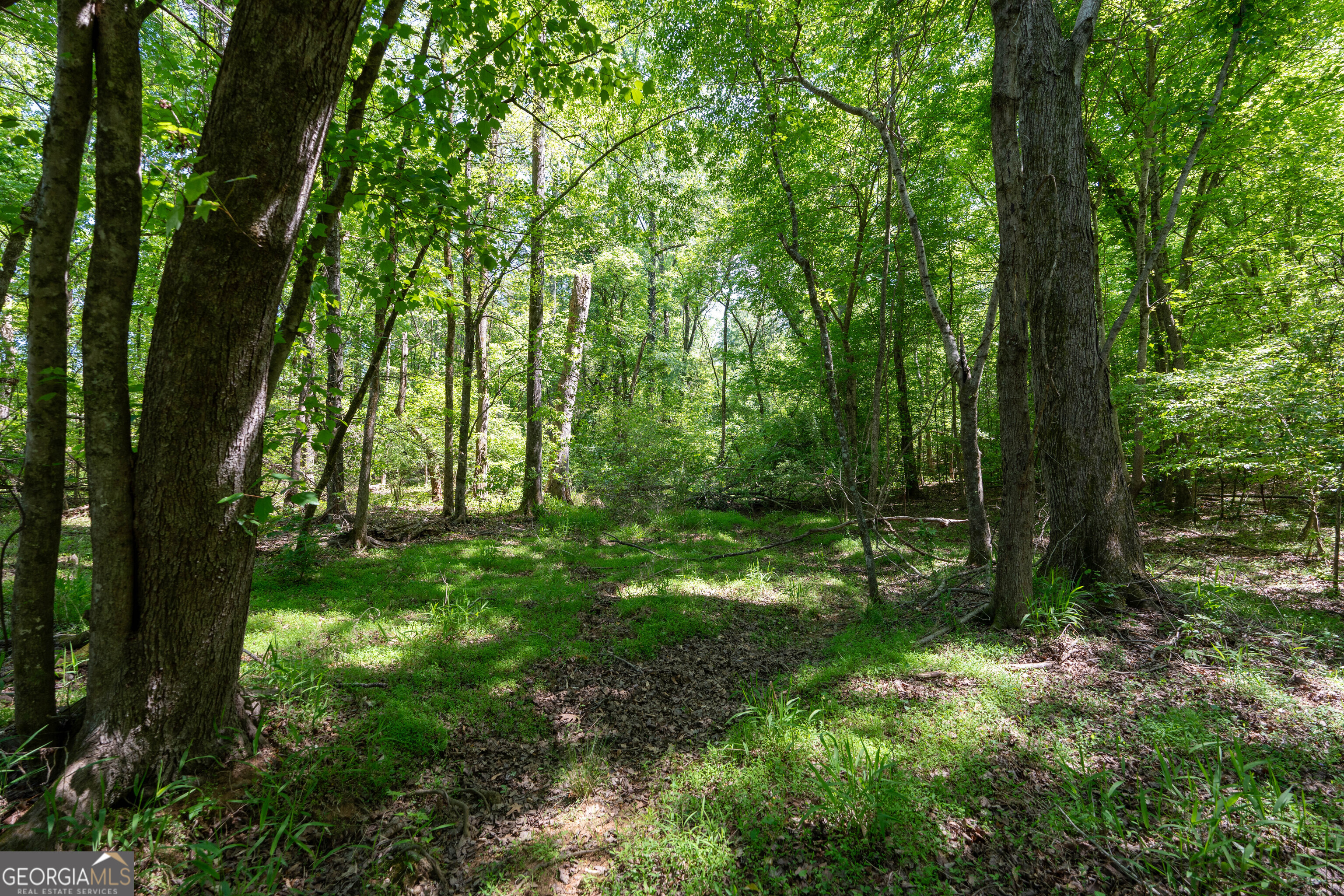 2486 Hulmes Chapel Road Elberton GA 30635