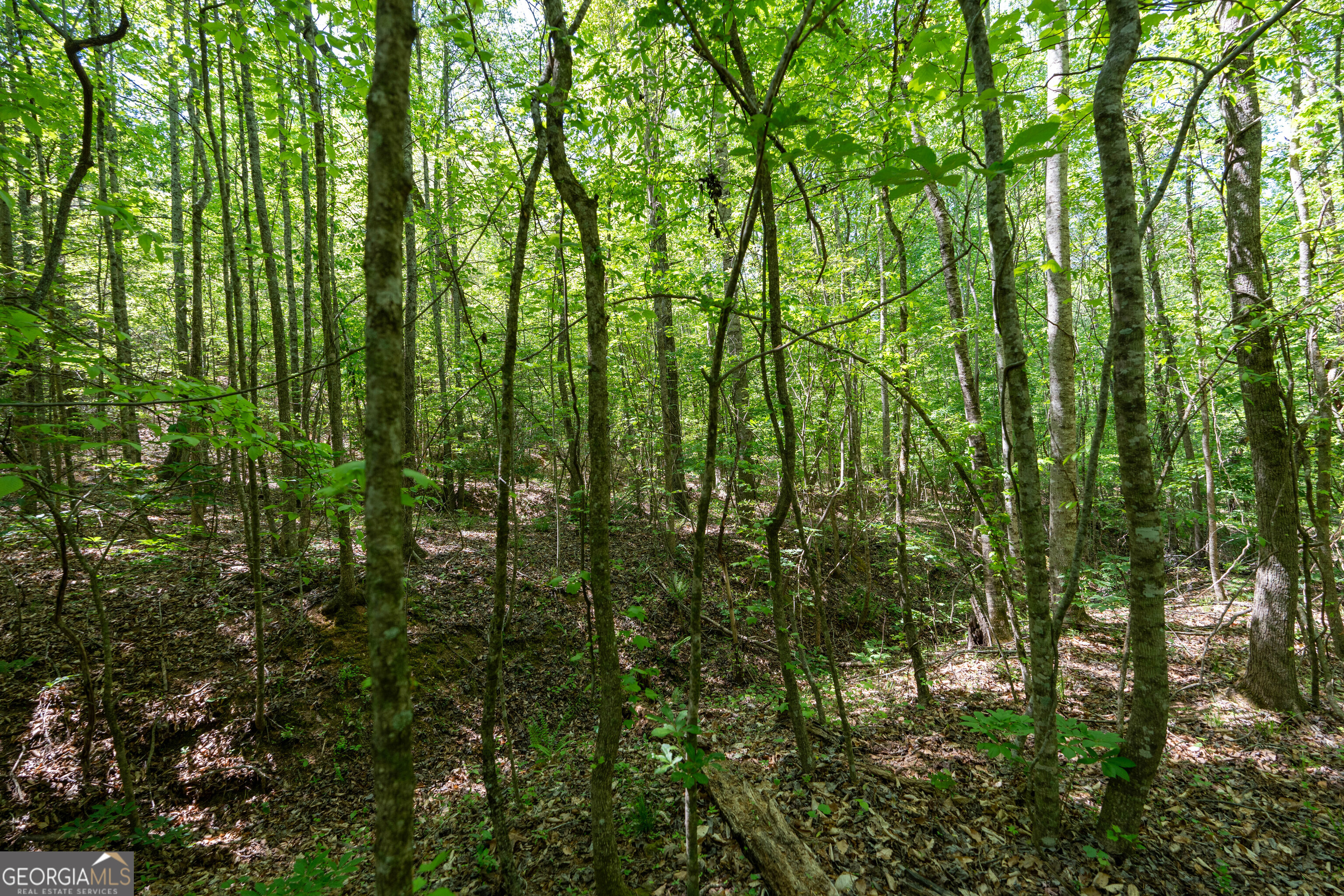 2486 Hulmes Chapel Road Elberton GA 30635