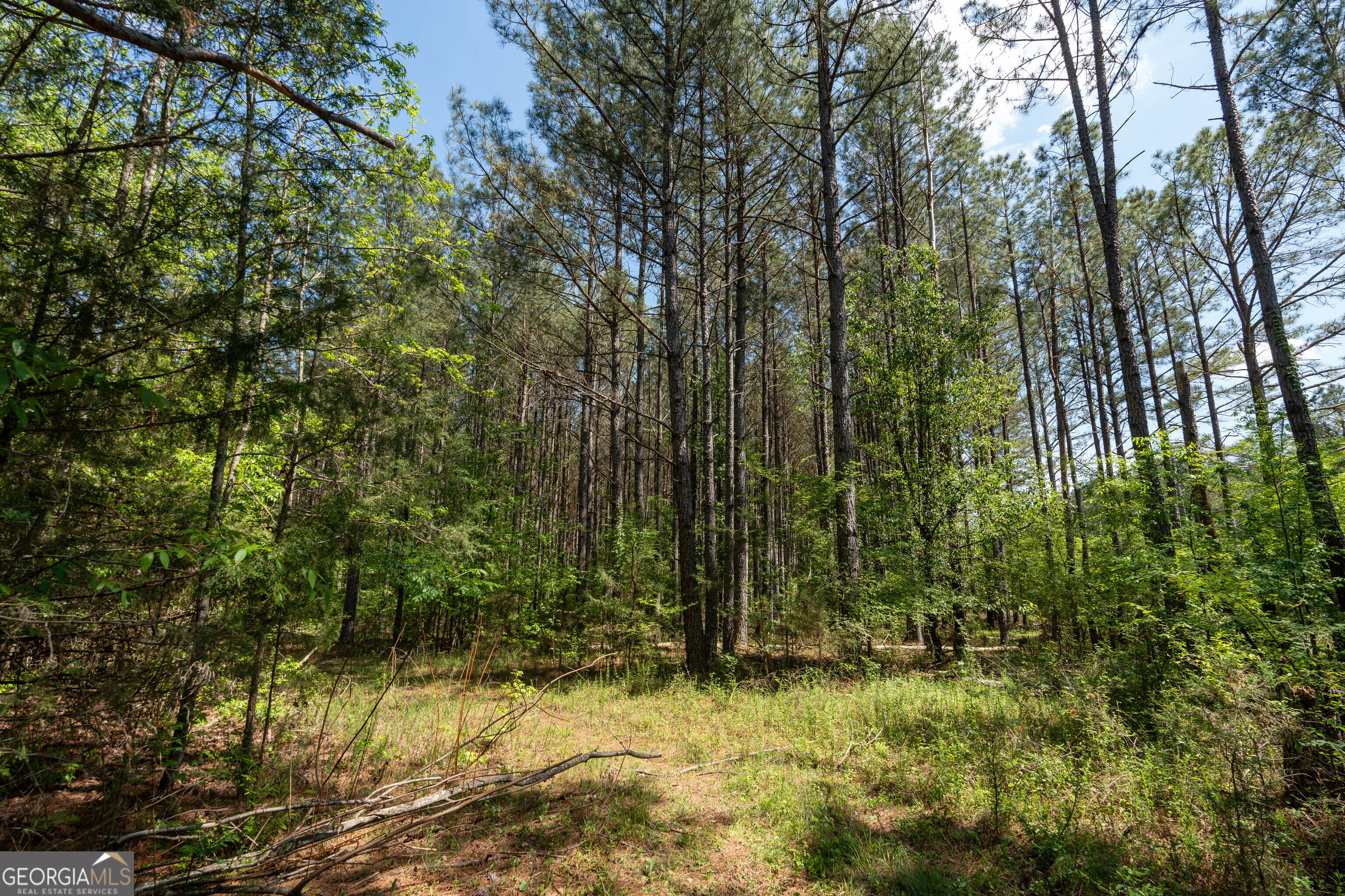 2486 Hulmes Chapel Road Elberton GA 30635