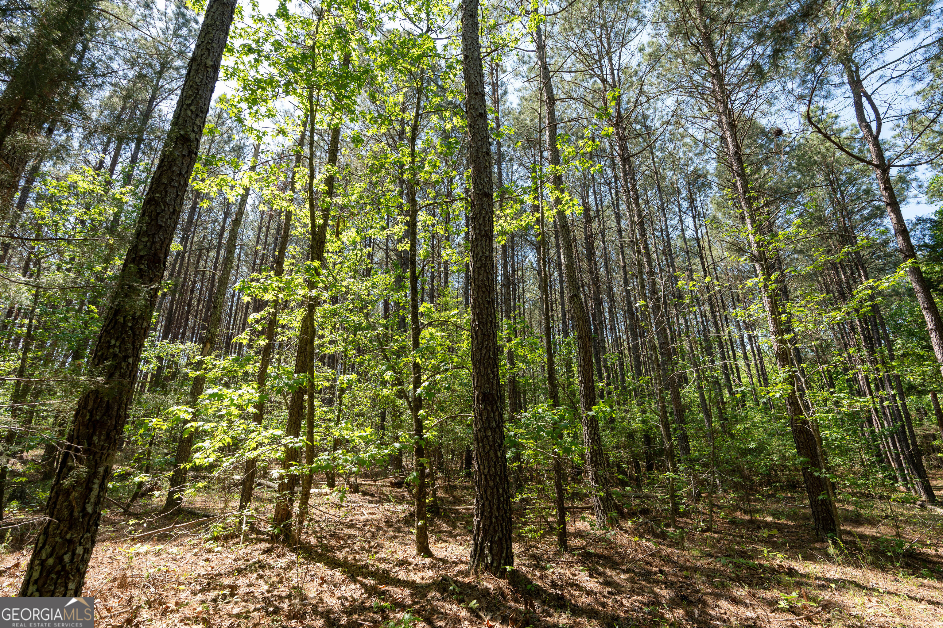 2486 Hulmes Chapel Road Elberton GA 30635