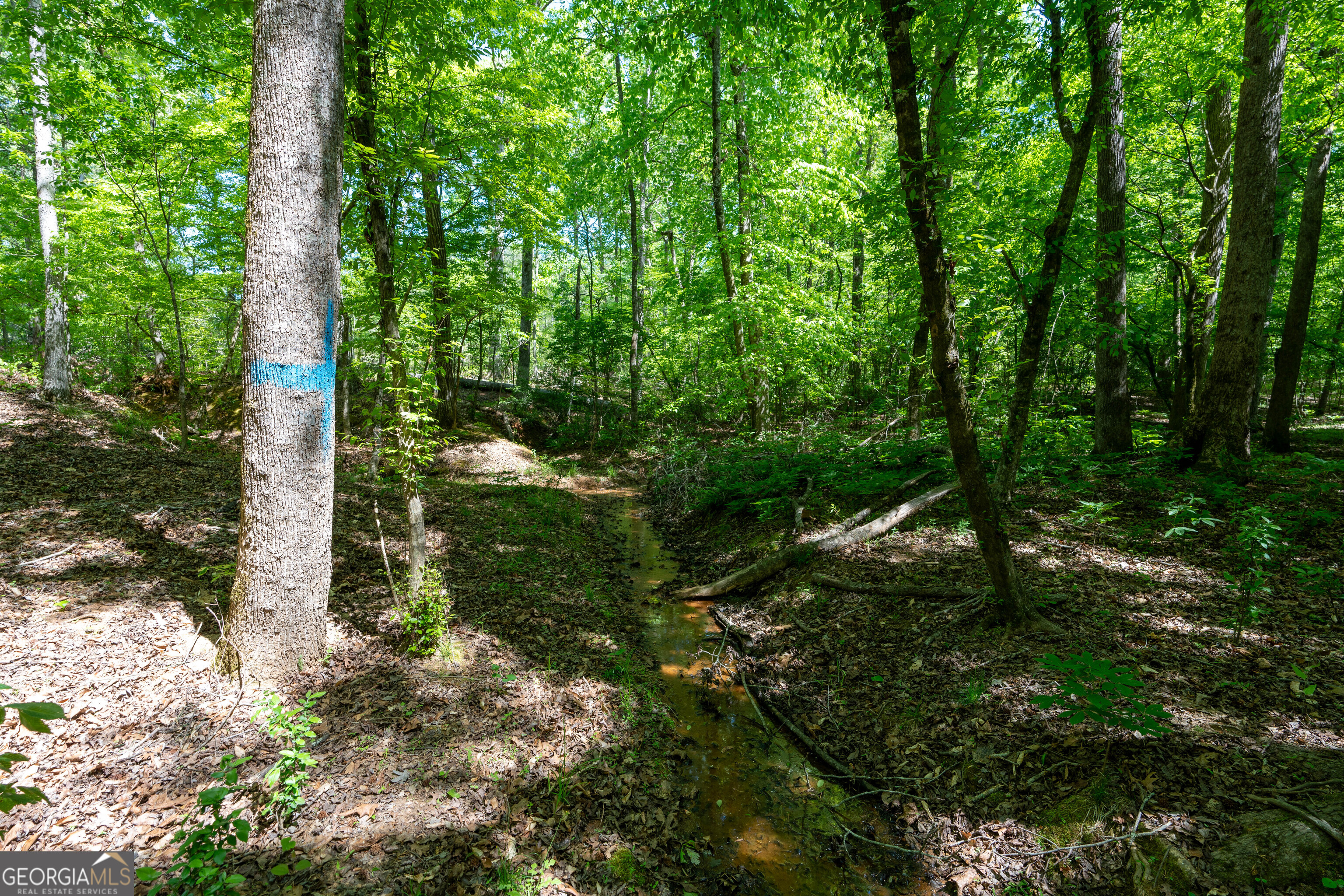 2486 Hulmes Chapel Road Elberton GA 30635