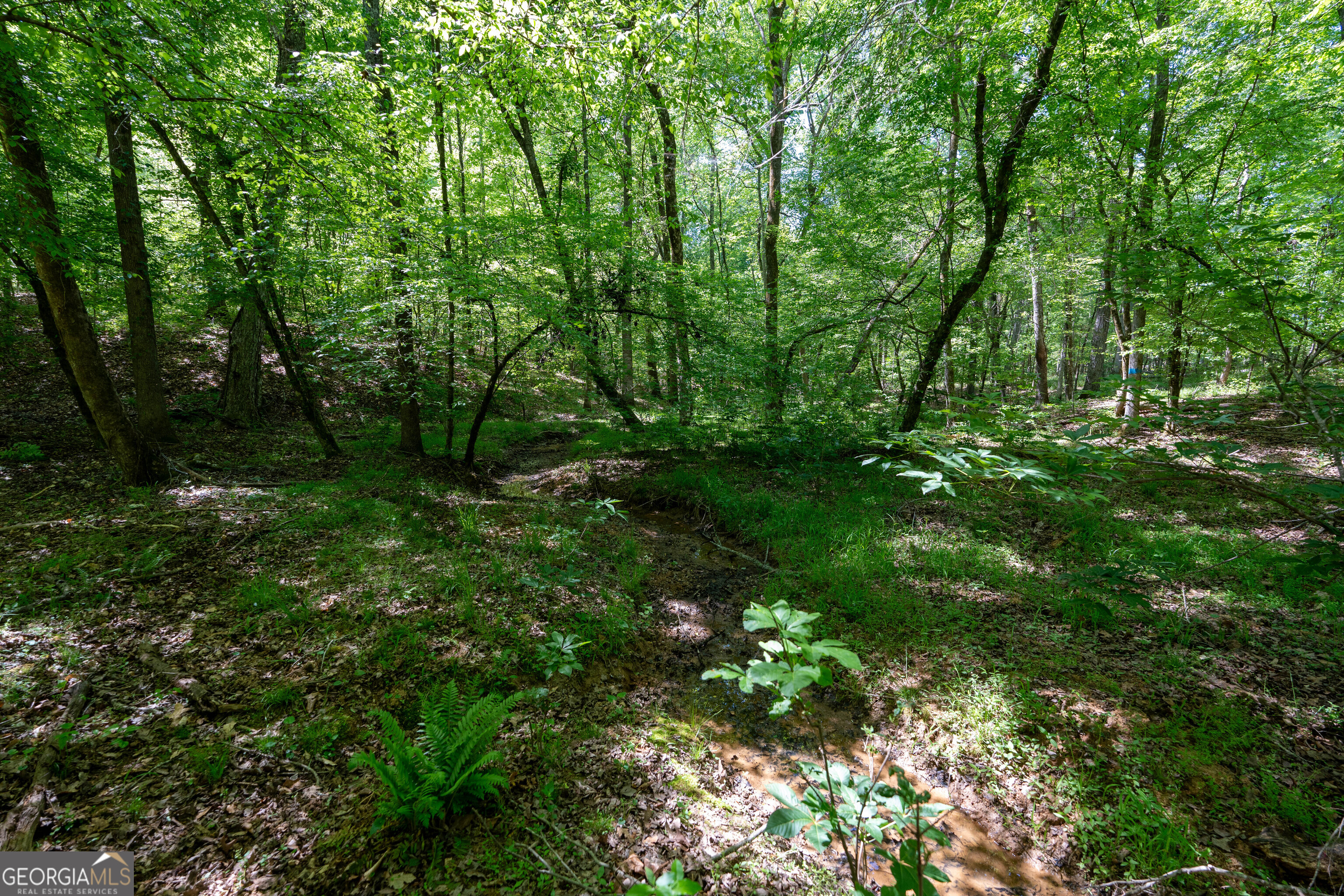 2486 Hulmes Chapel Road Elberton GA 30635