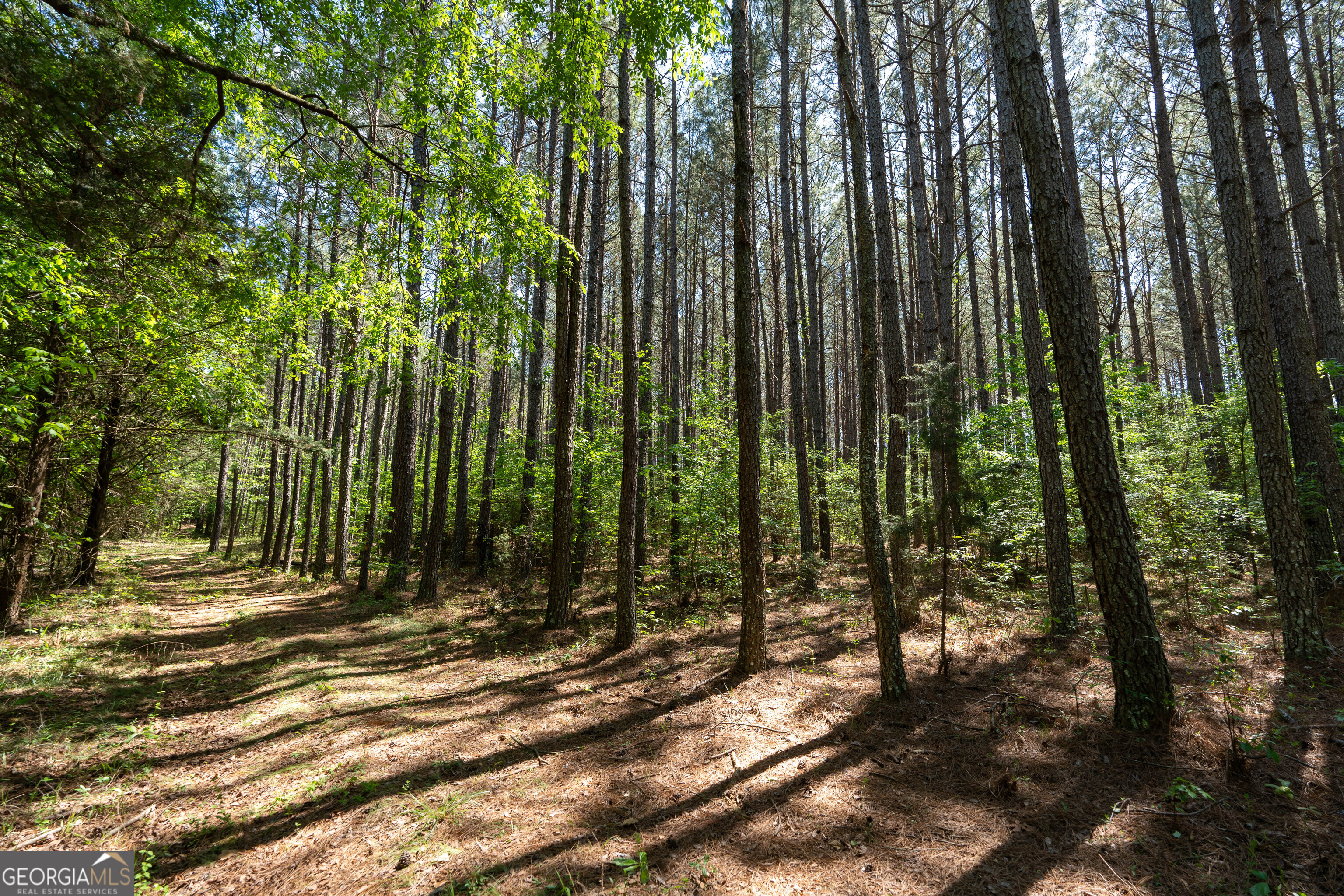 2486 Hulmes Chapel Road Elberton GA 30635