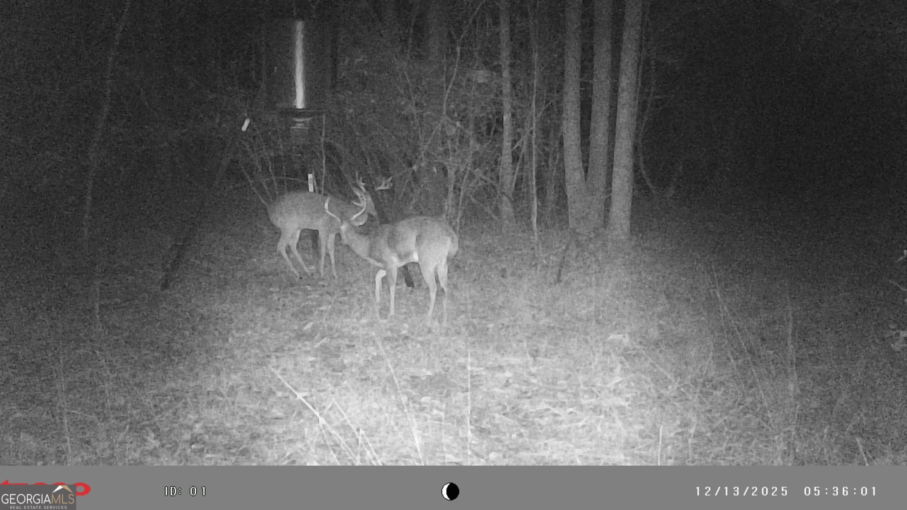 2486 Hulmes Chapel Road Elberton GA 30635