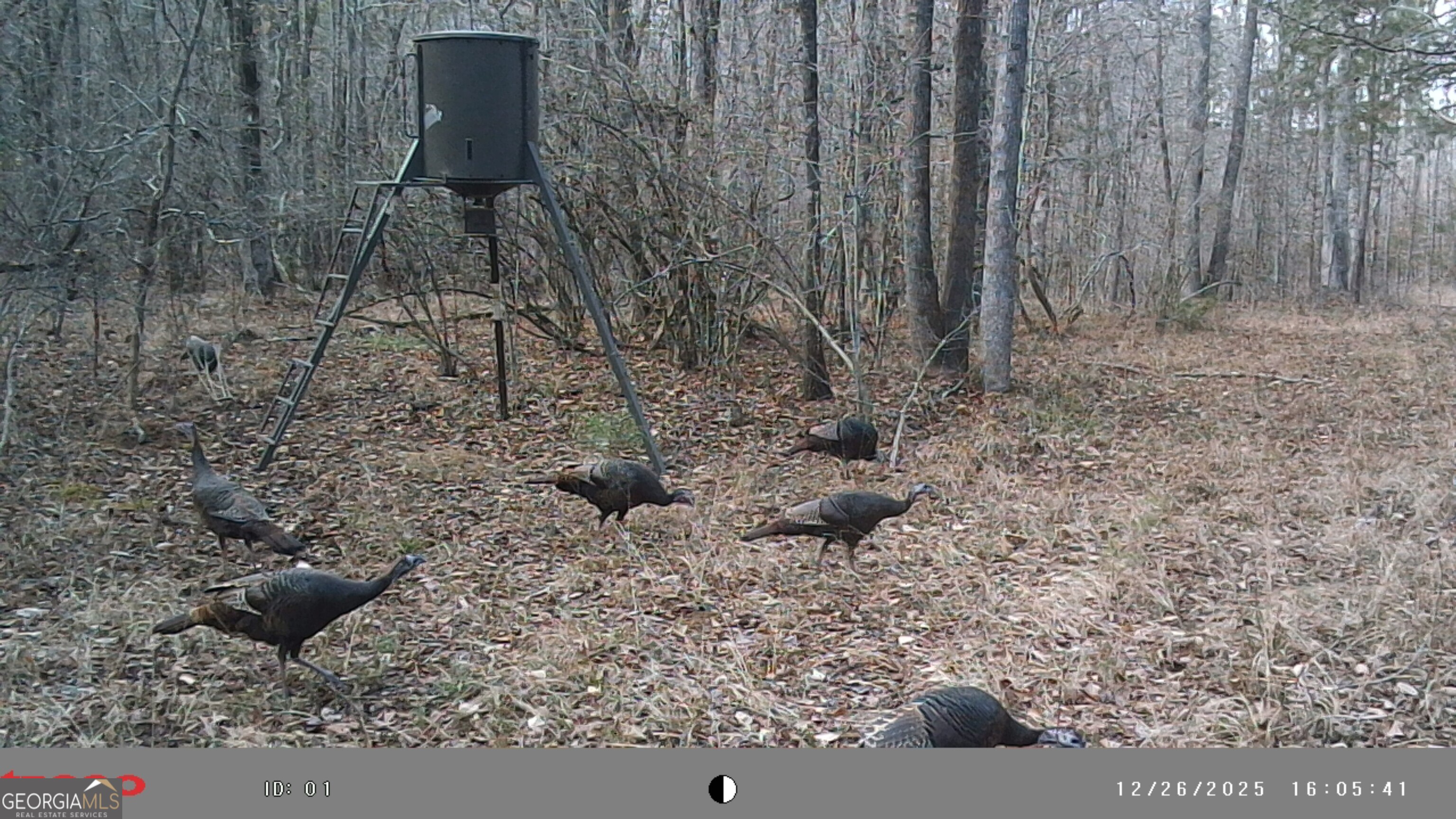 2486 Hulmes Chapel Road Elberton GA 30635