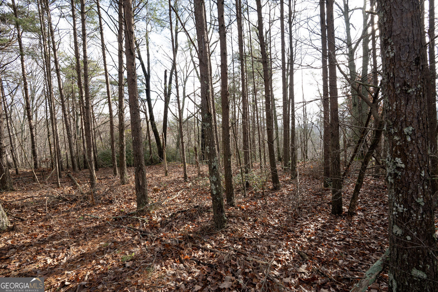 1 Amber Court Jasper GA 30143
