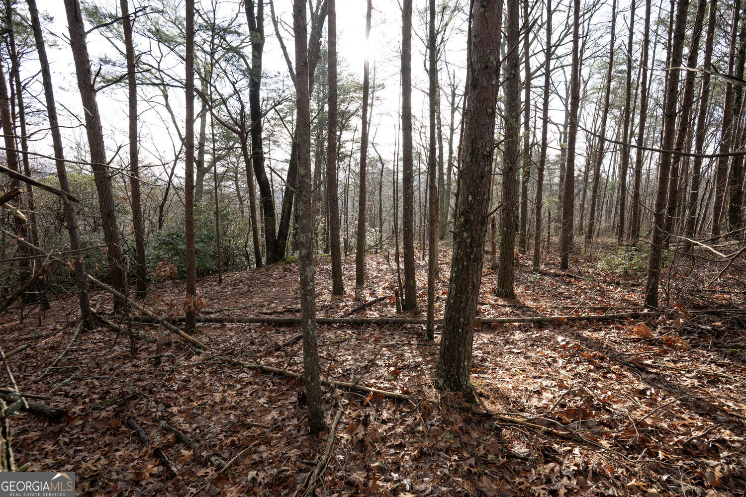 1 Amber Court Jasper GA 30143