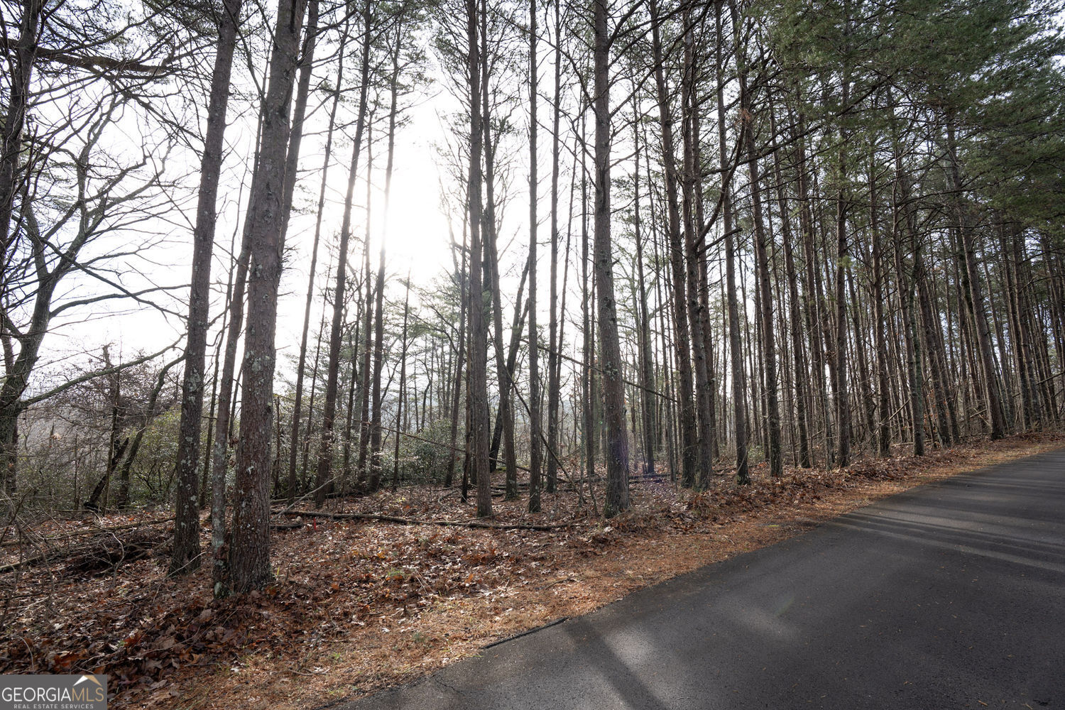 1 Amber Court Jasper GA 30143
