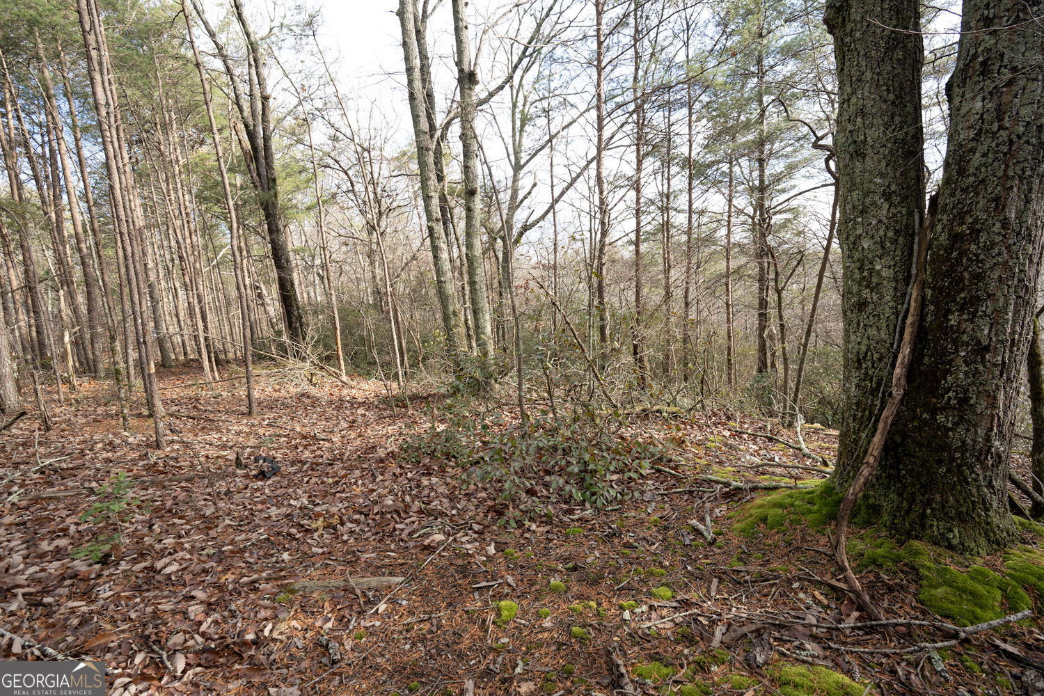 1 Amber Court Jasper GA 30143