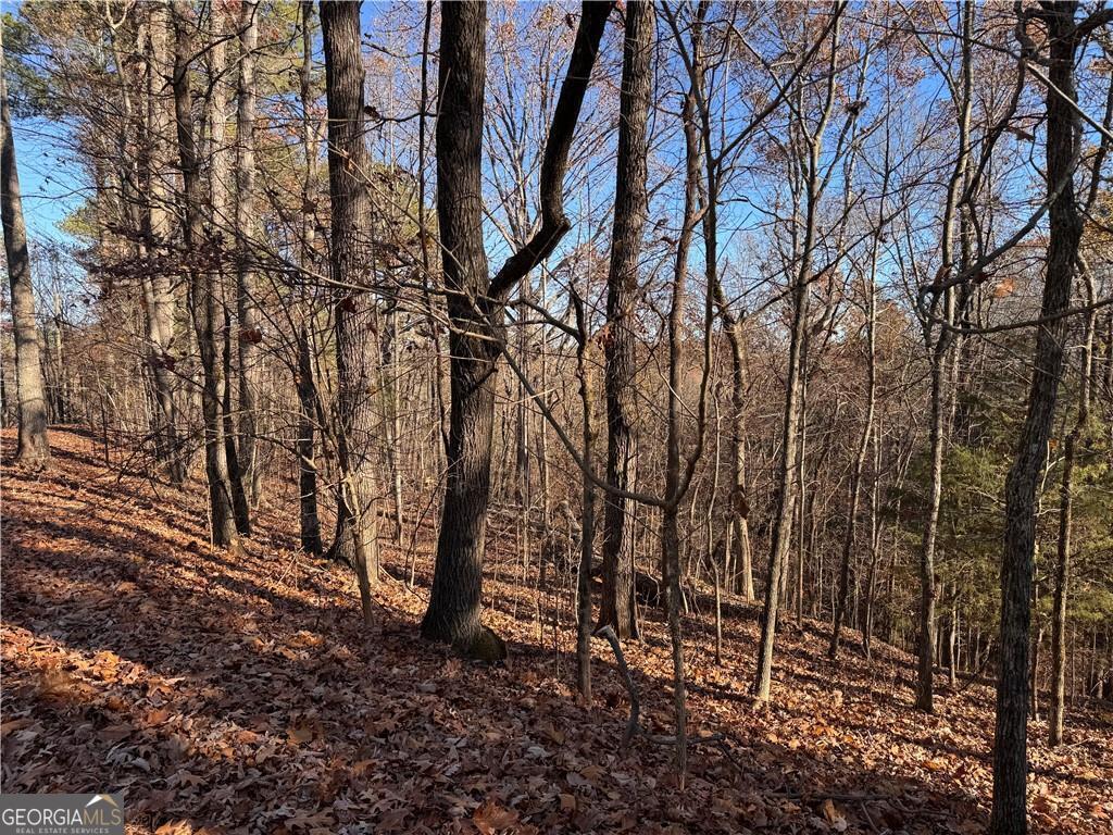 129 Adair Drive NE Ranger GA 30734