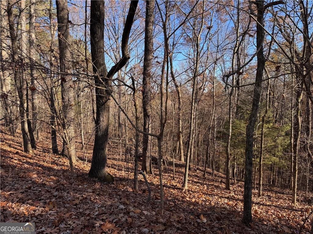 129 Adair Drive NE Ranger GA 30734