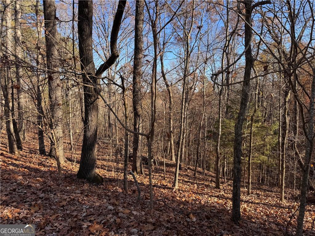 129 Adair Drive NE Ranger GA 30734