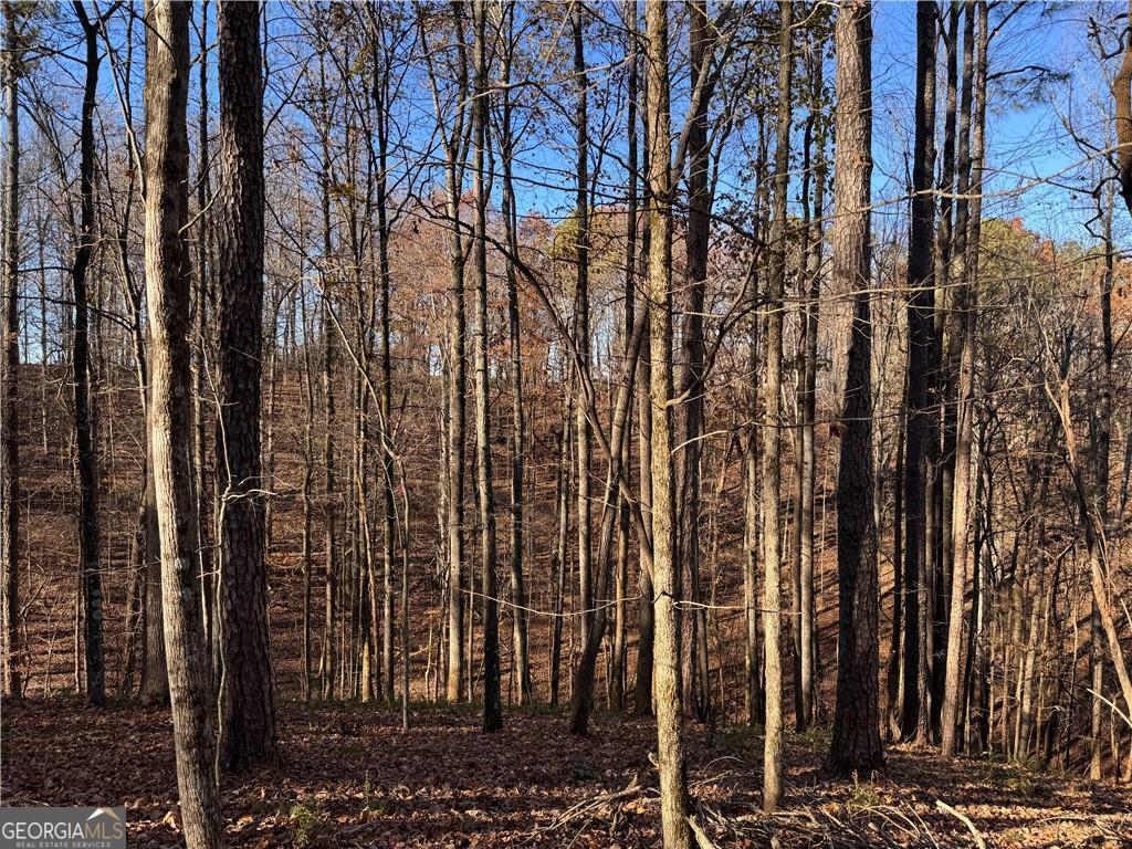129 Adair Drive NE Ranger GA 30734
